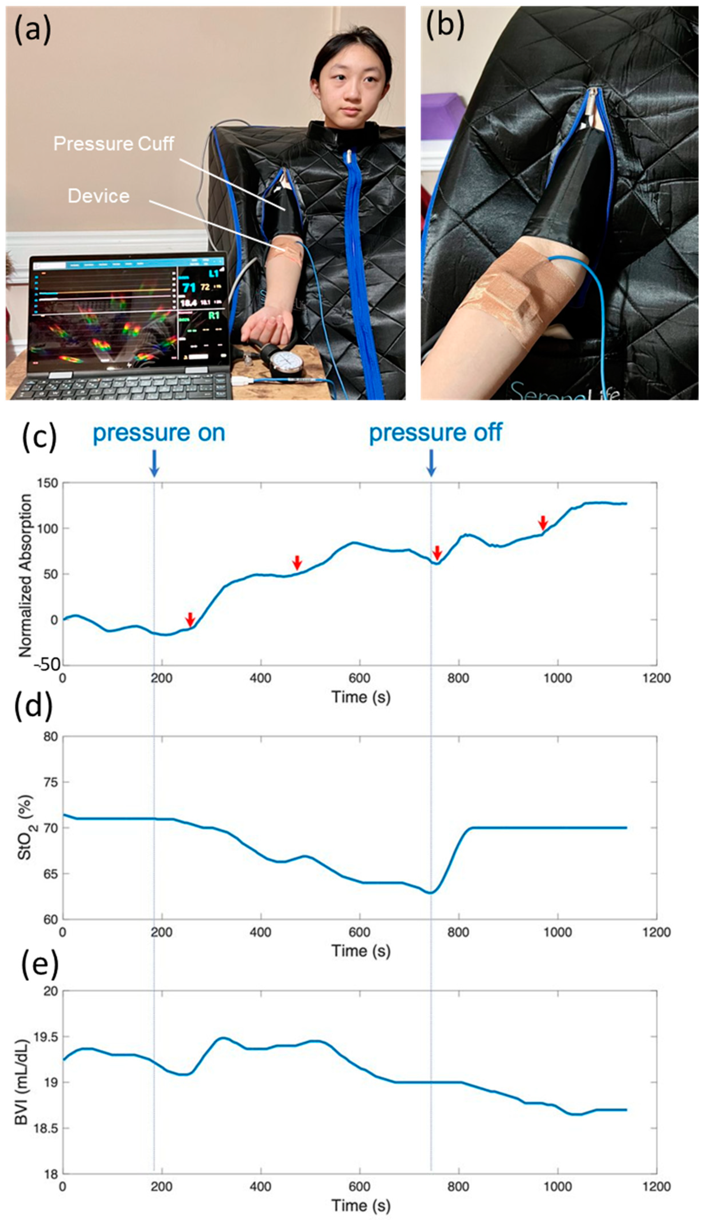 Biosensors 14 00584 g006