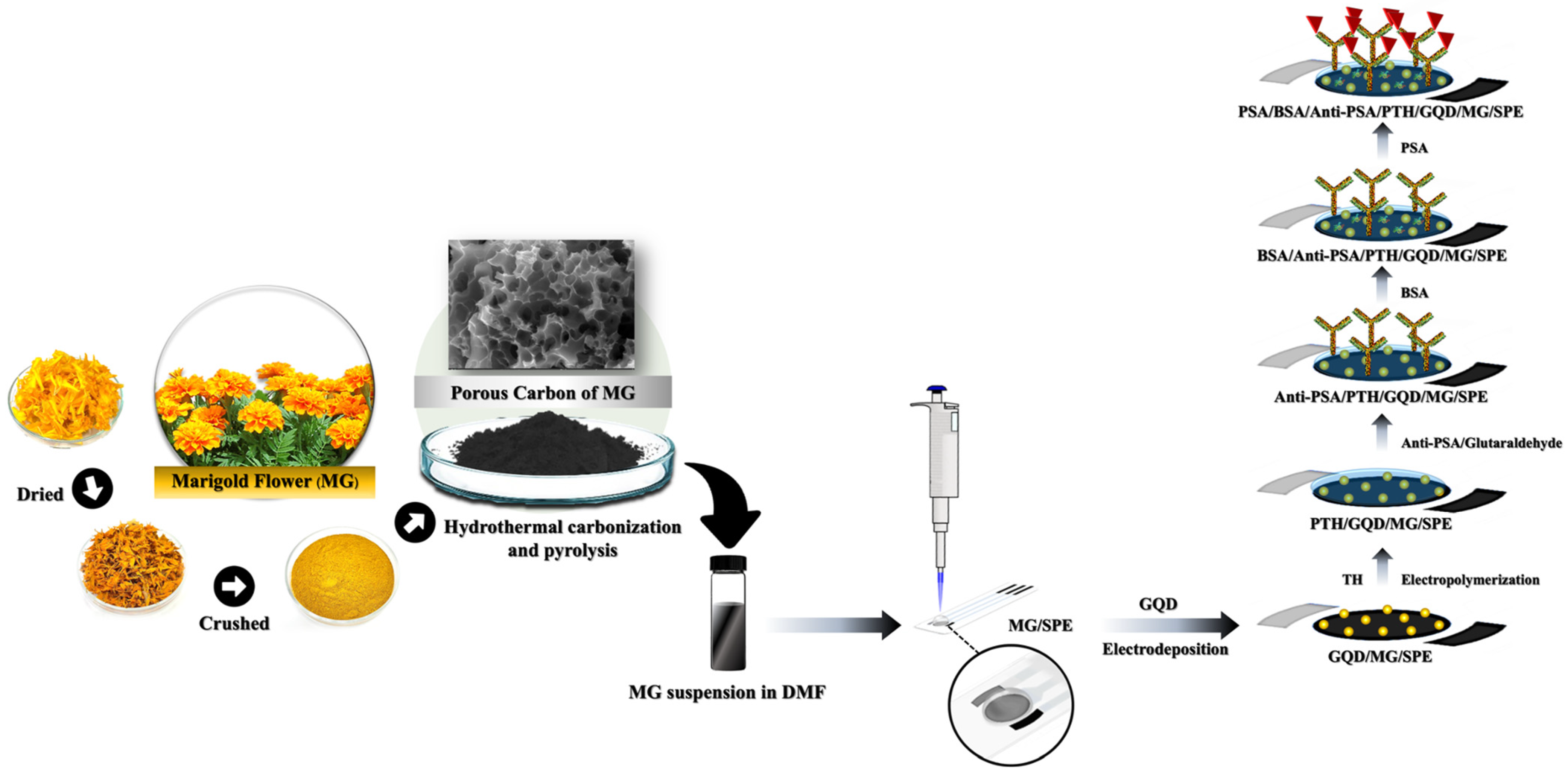 Biosensors 14 00589 g001