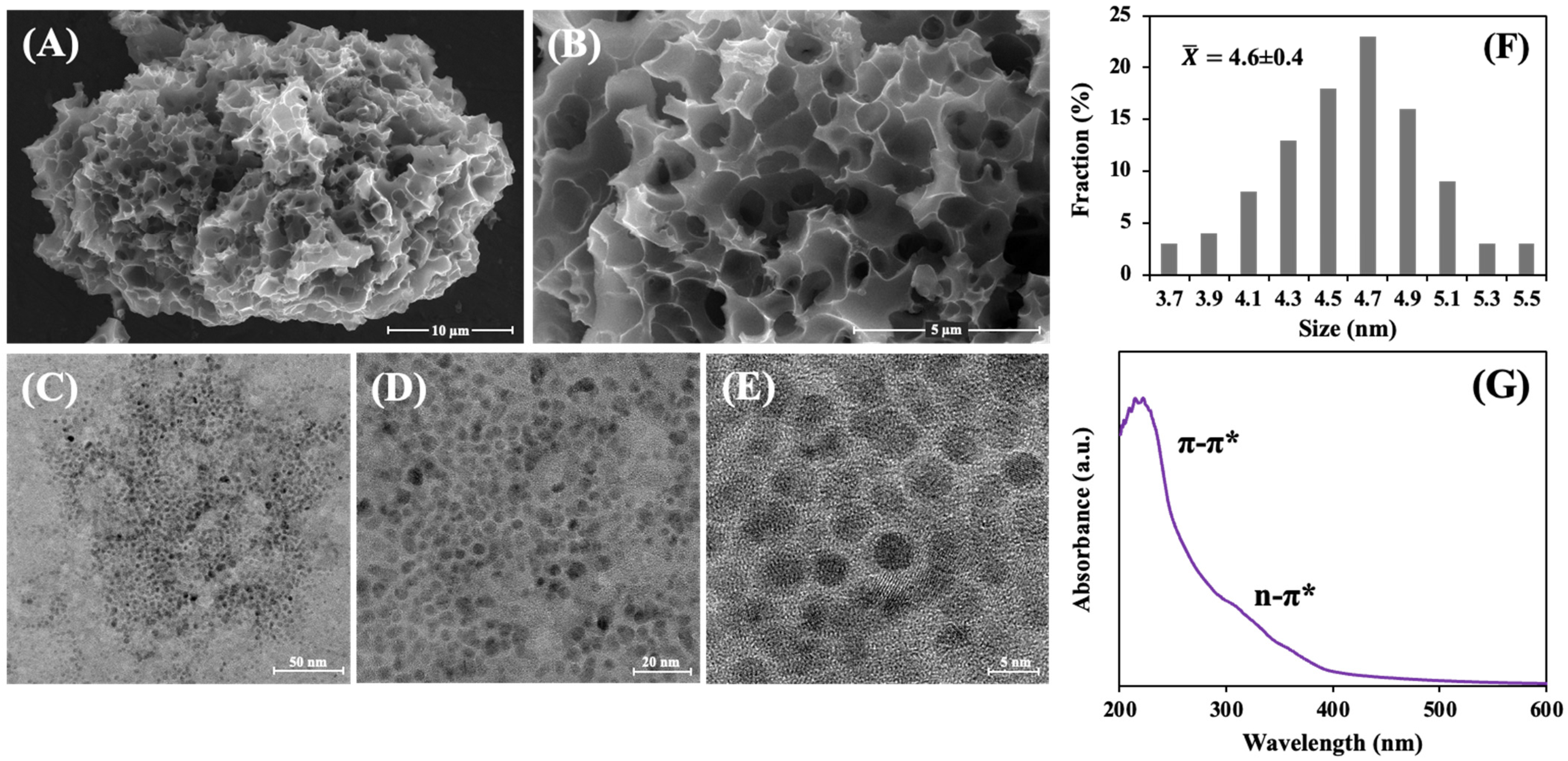Biosensors 14 00589 g002