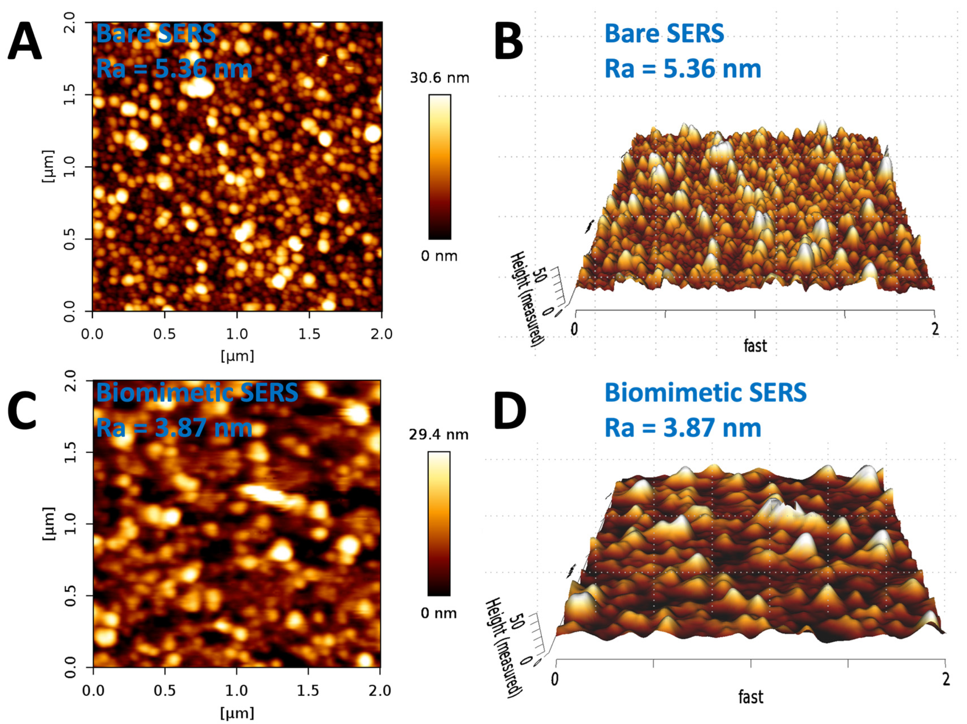 Biosensors 14 00591 g001