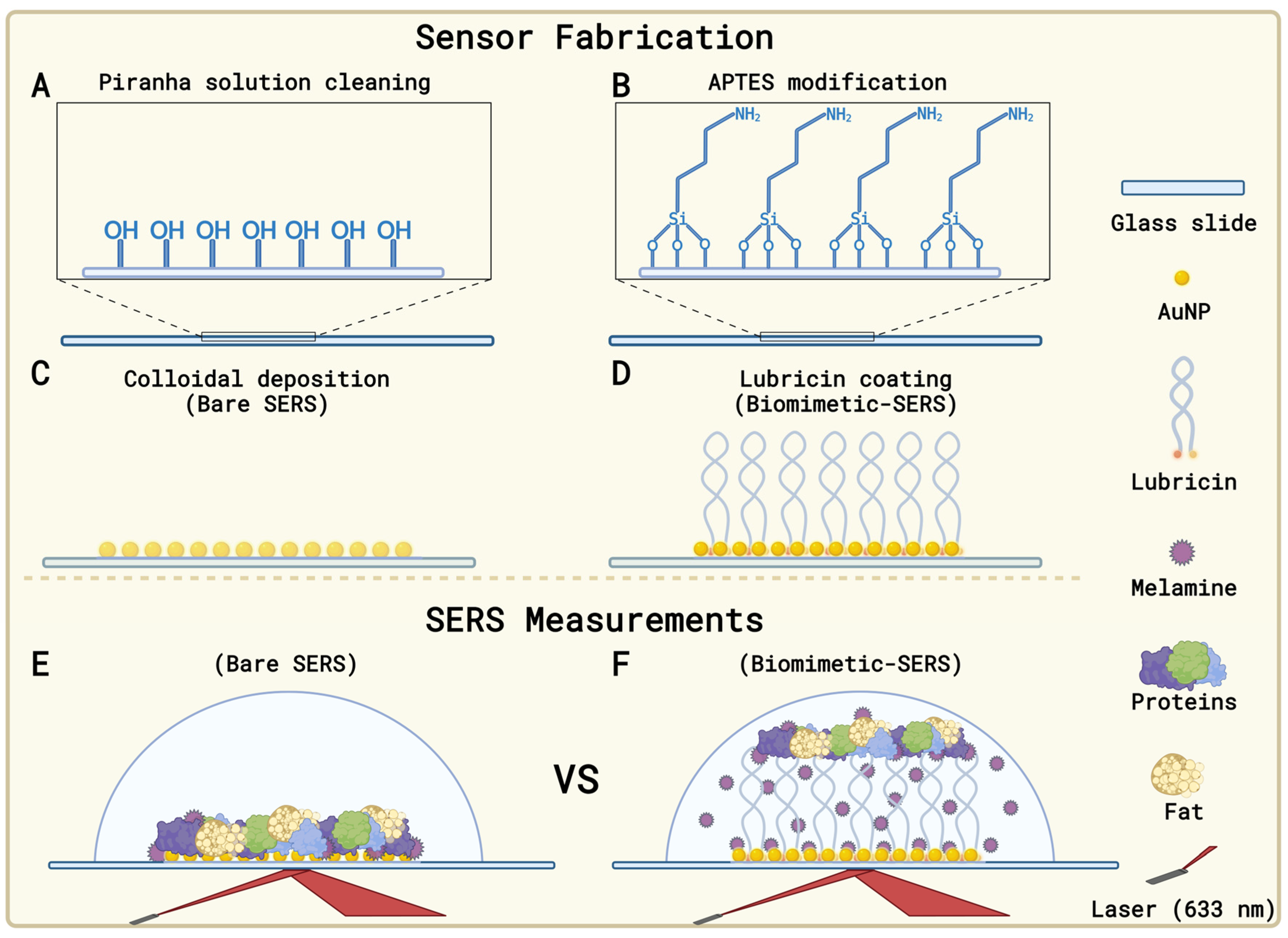Biosensors 14 00591 sch001