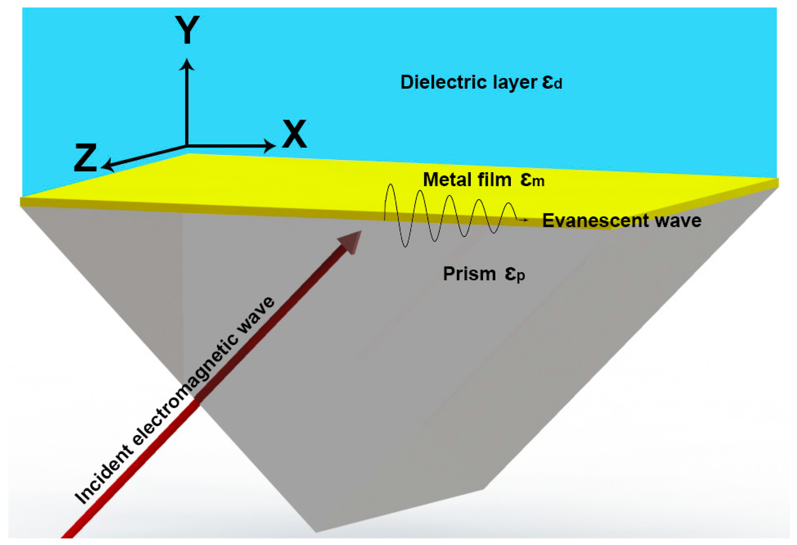 Biosensors 14 00593 g001 Biosensors 14 00593 g001