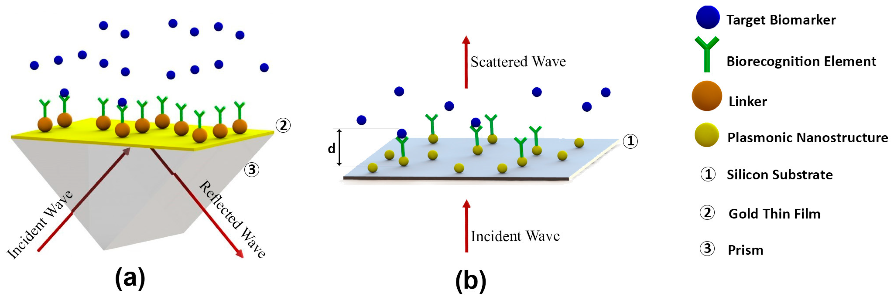 Biosensors 14 00593 g002 Biosensors 14 00593 g002