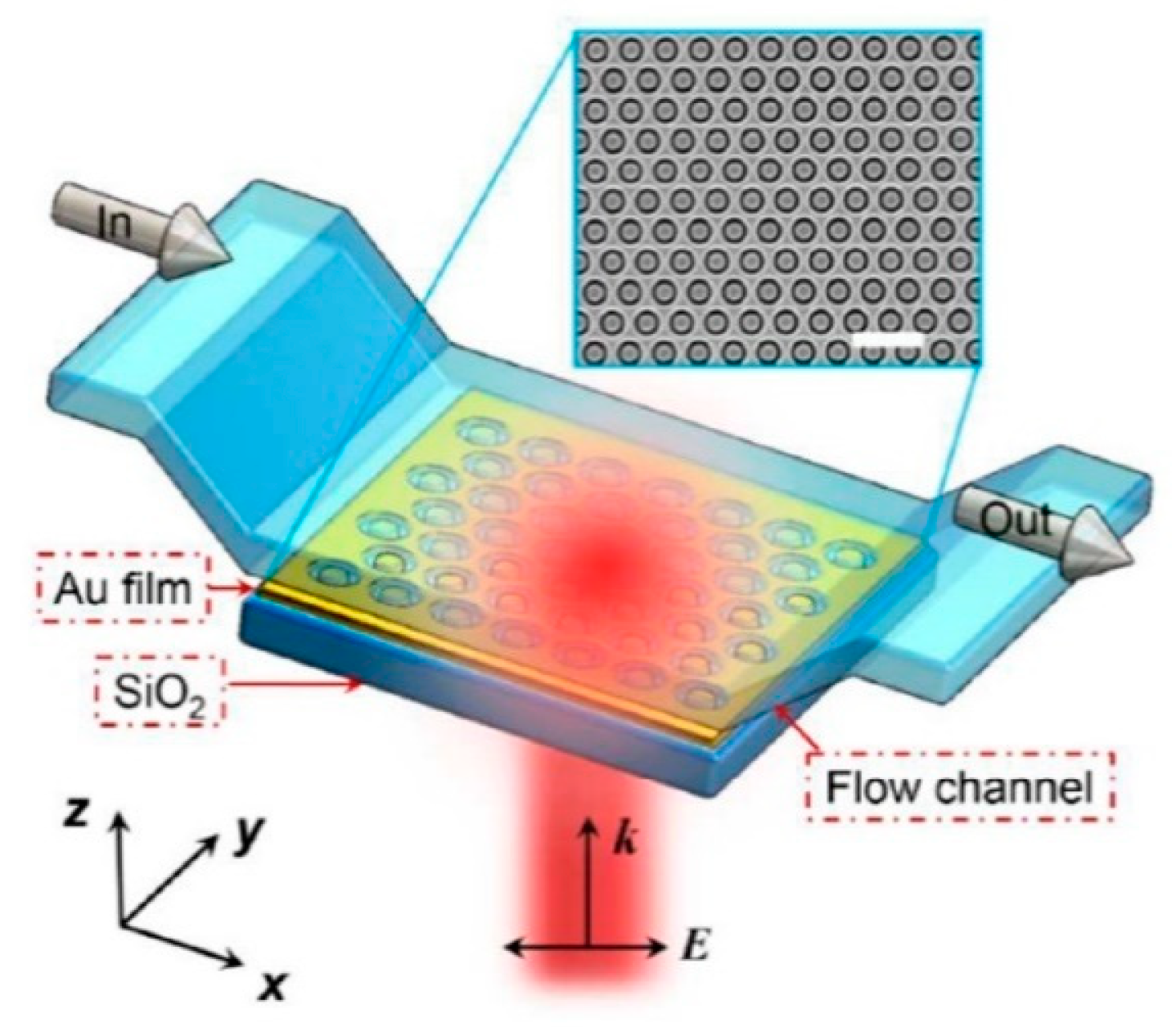 Biosensors 14 00593 g004 Biosensors 14 00593 g004