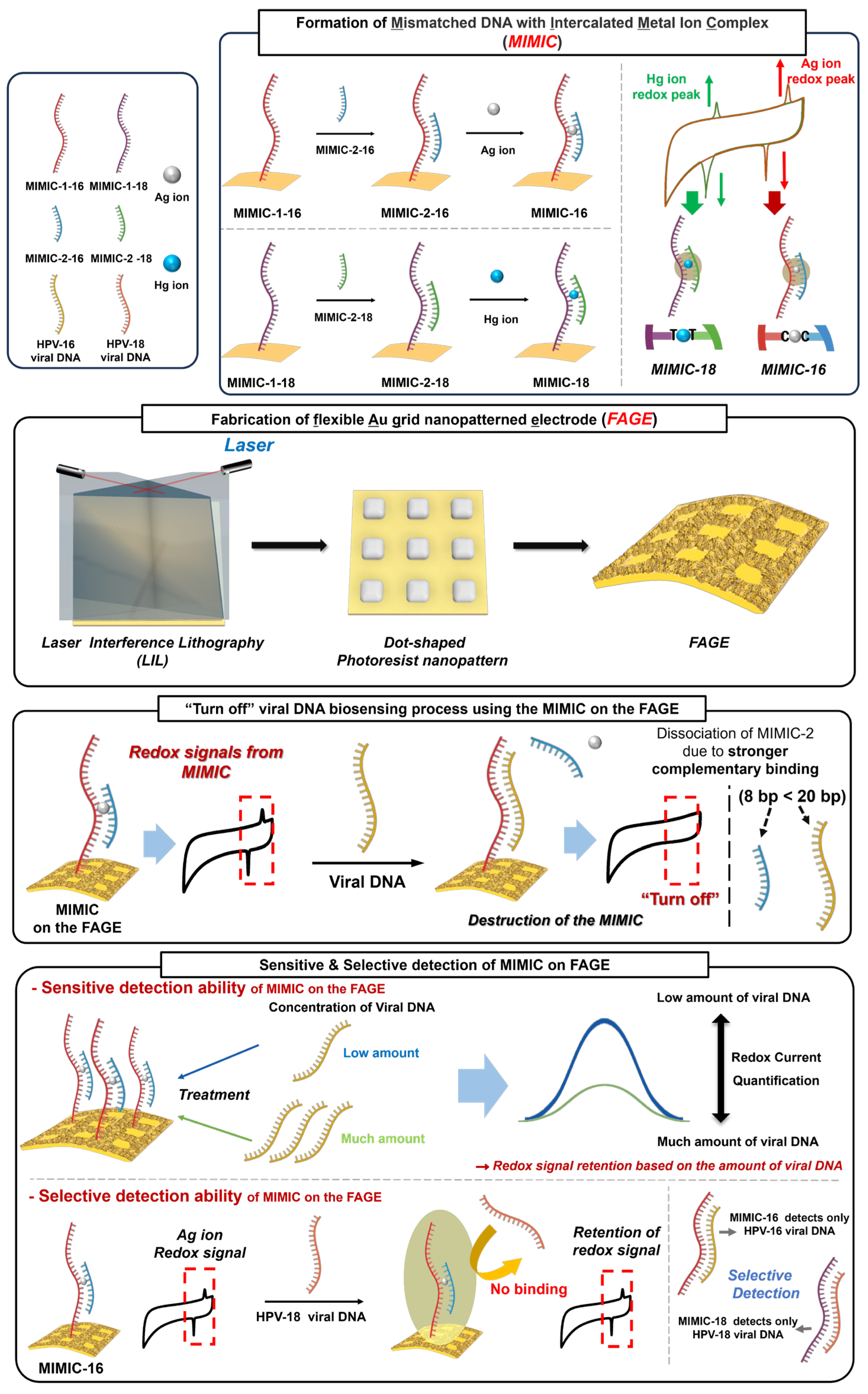 Biosensors 14 00594 g001