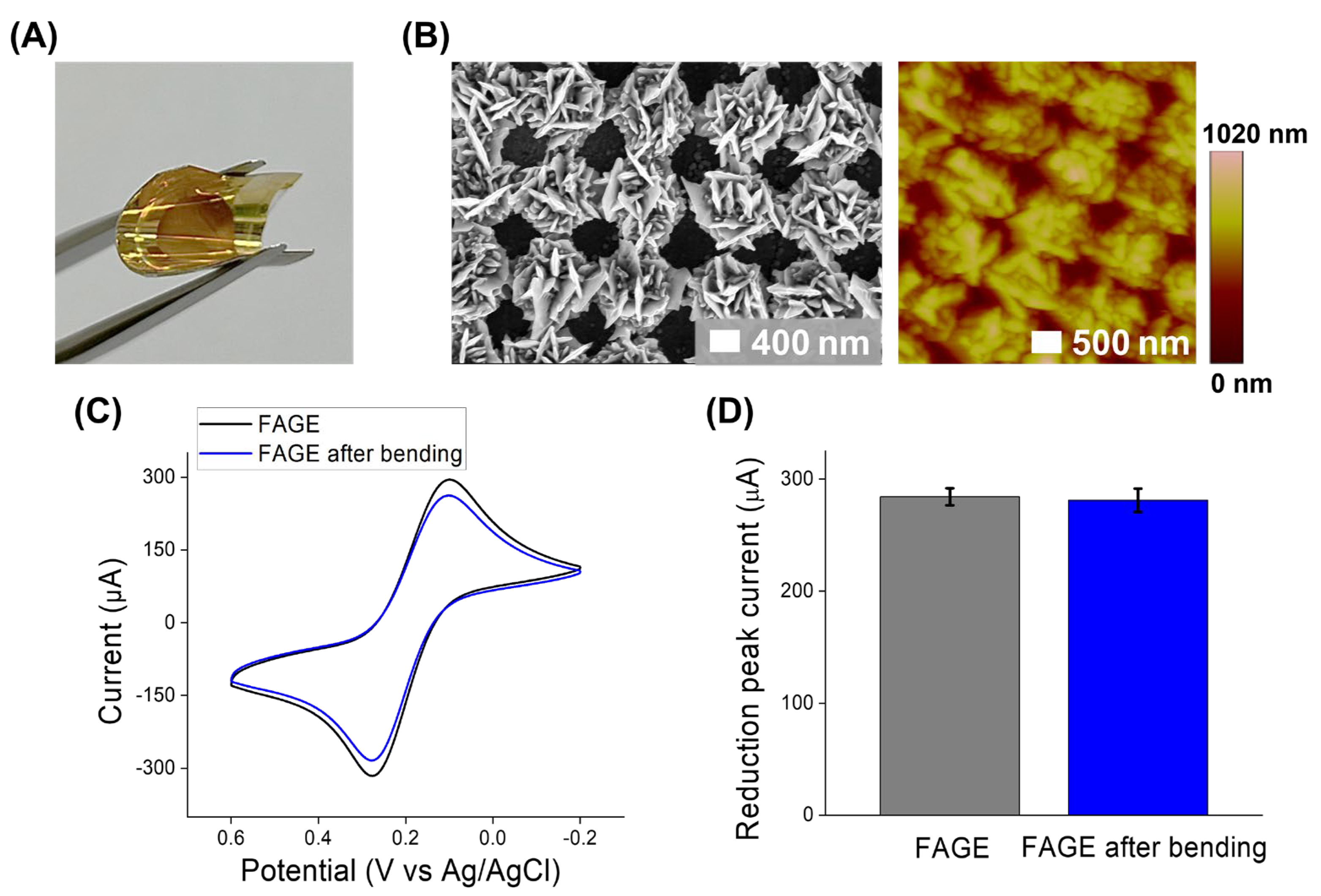 Biosensors 14 00594 g003