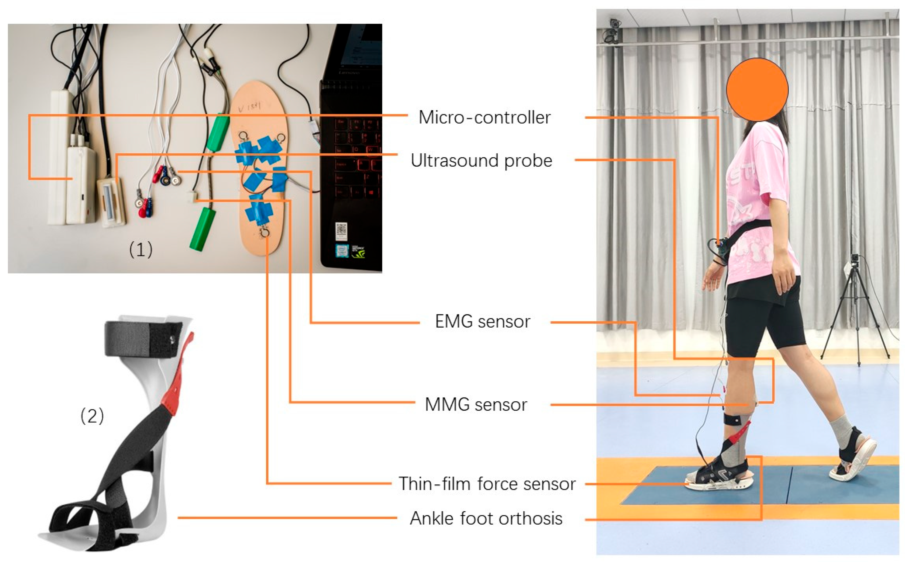 Biosensors 14 00595 g001