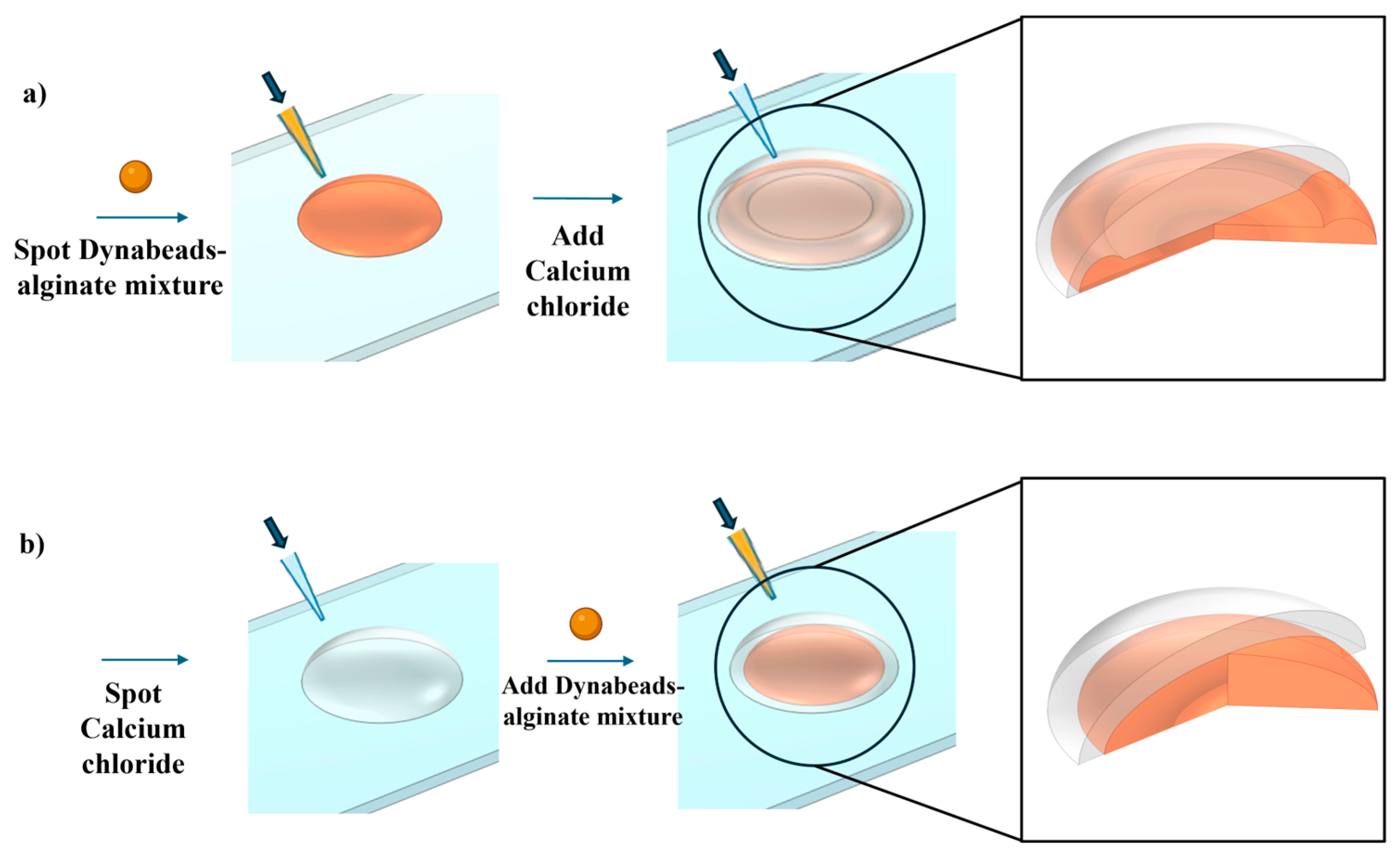 Biosensors 14 00596 g001