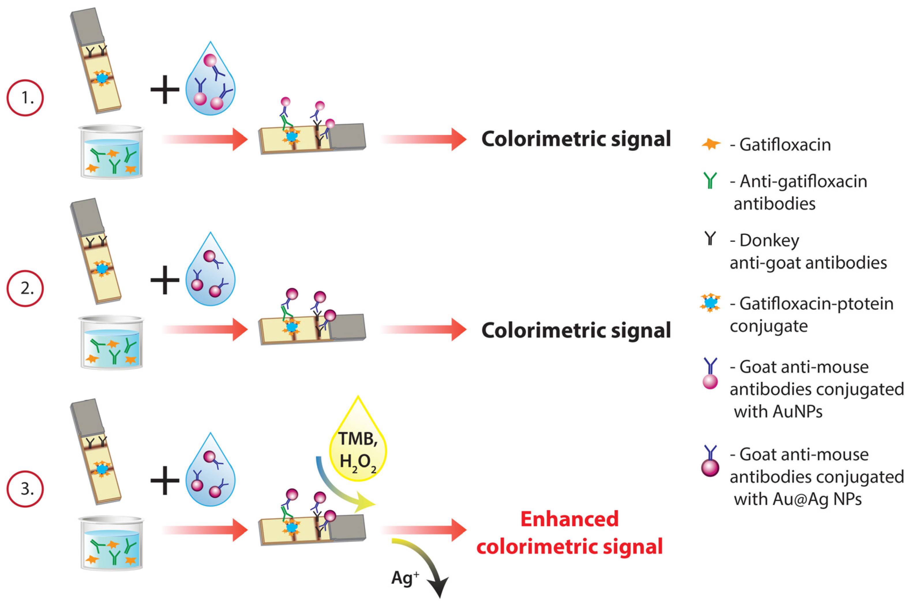 Biosensors 14 00598 g005