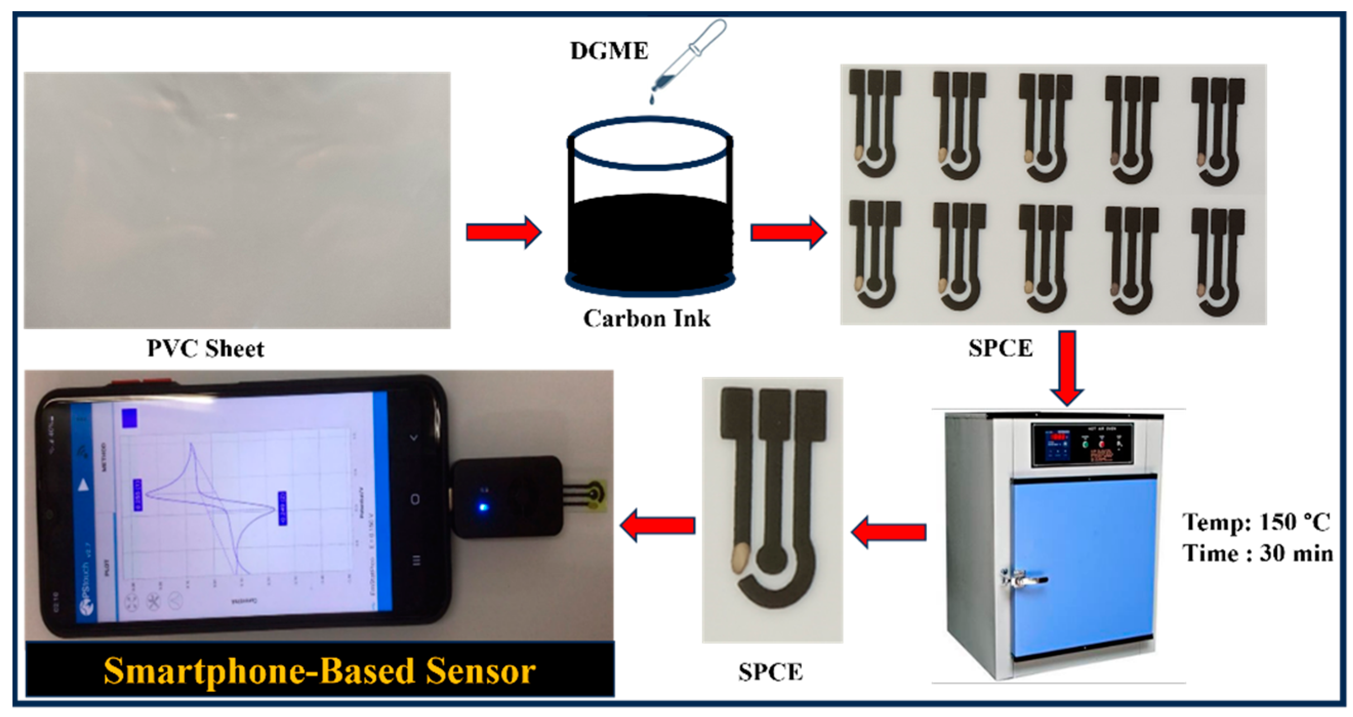 Biosensors 14 00600 g001