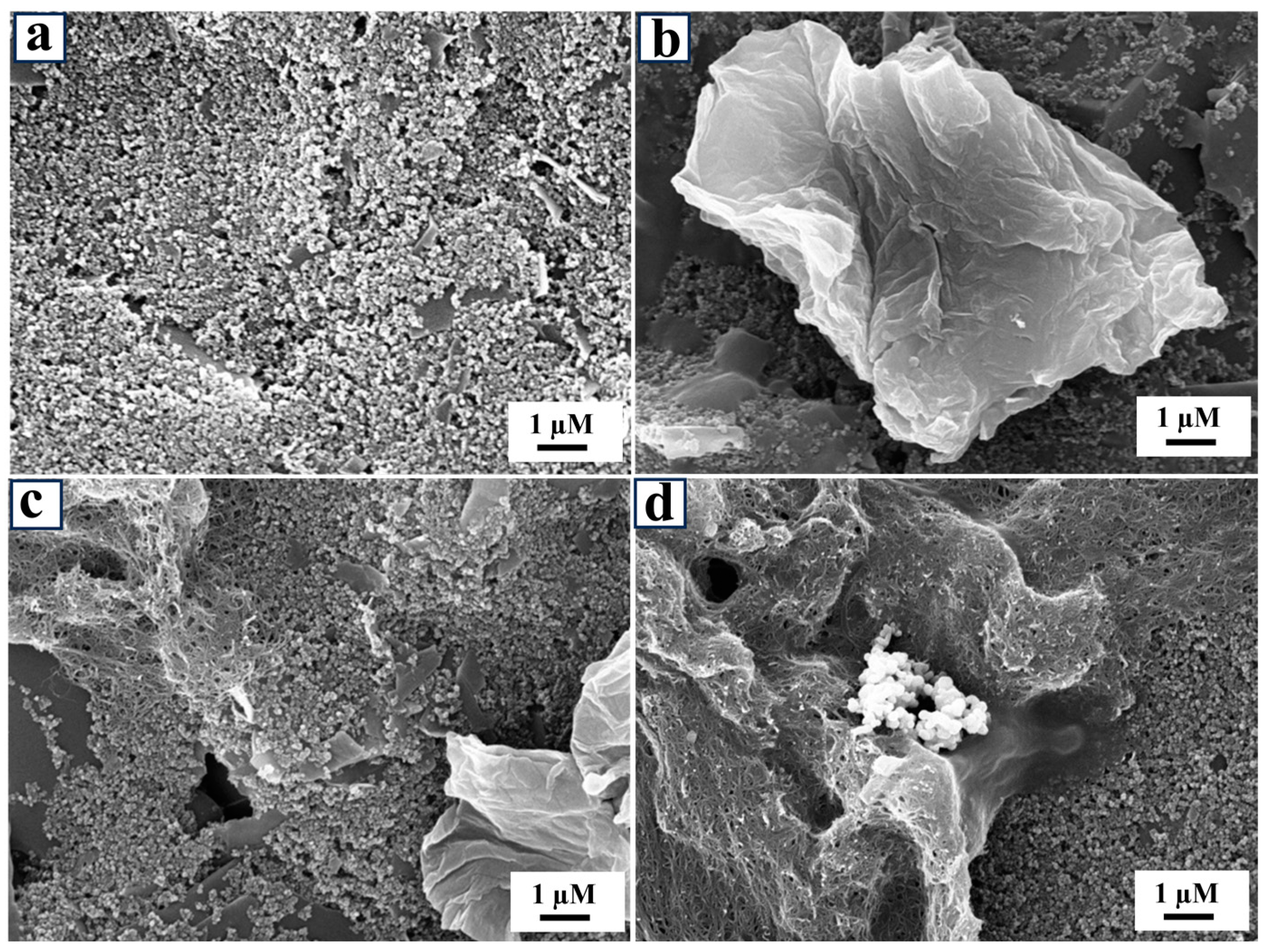 Biosensors 14 00600 g003