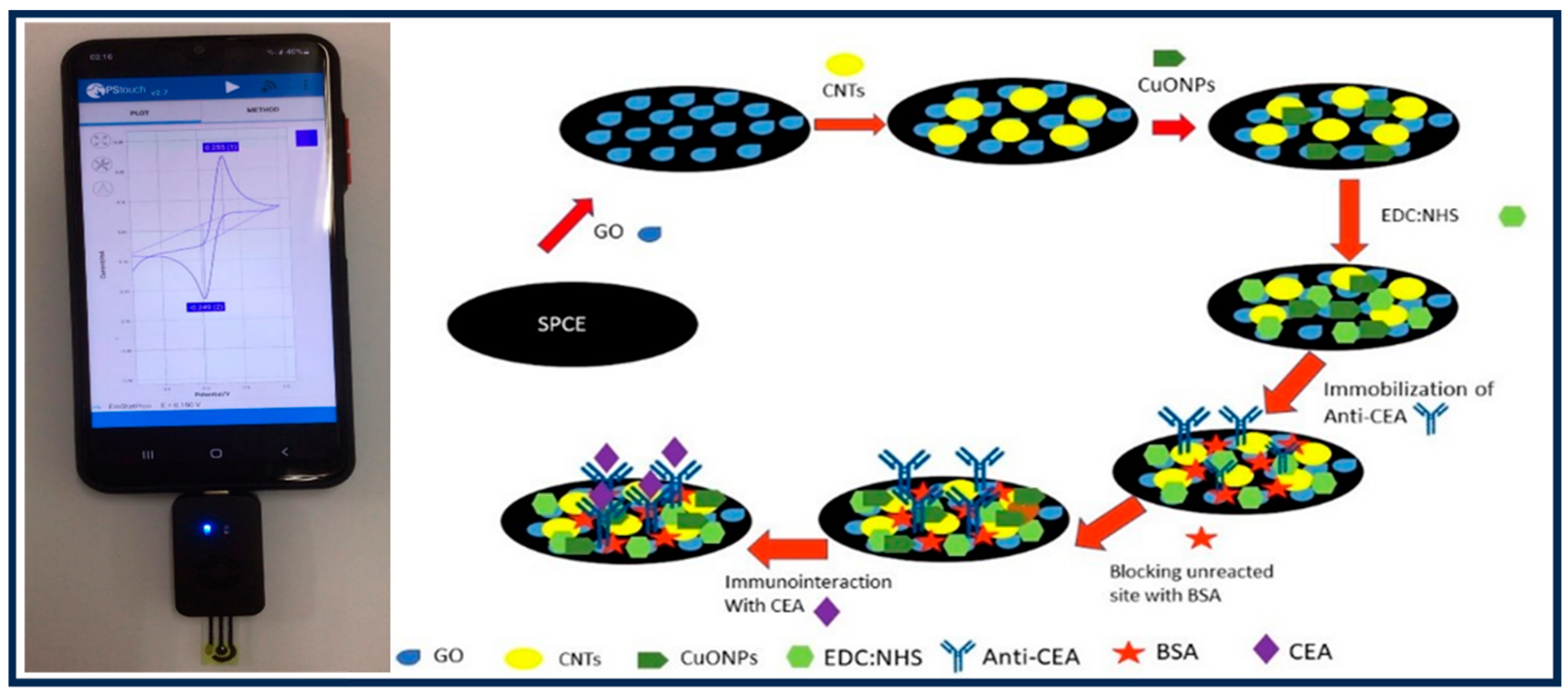 Biosensors 14 00600 sch001