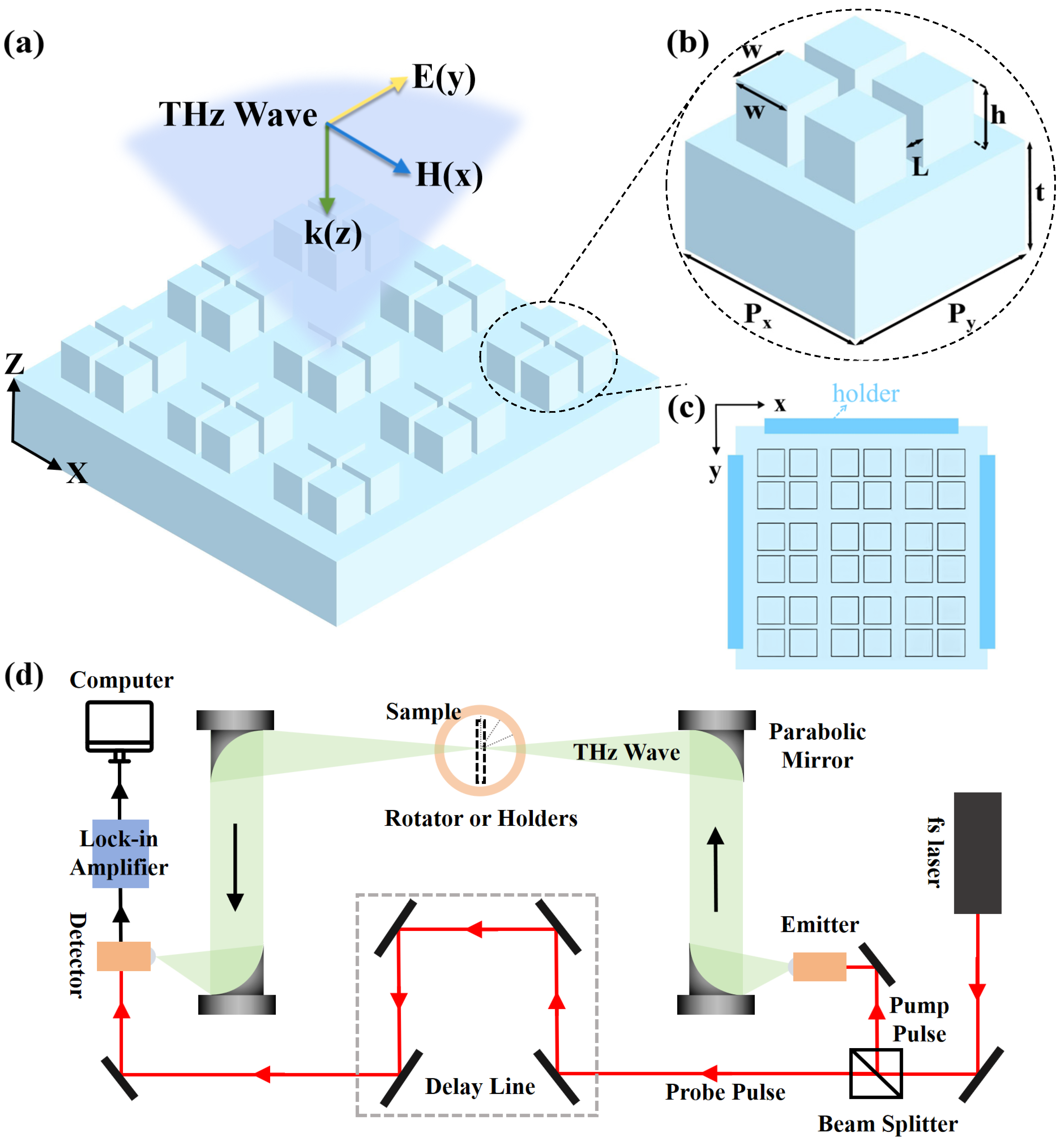 Biosensors 14 00602 g001
