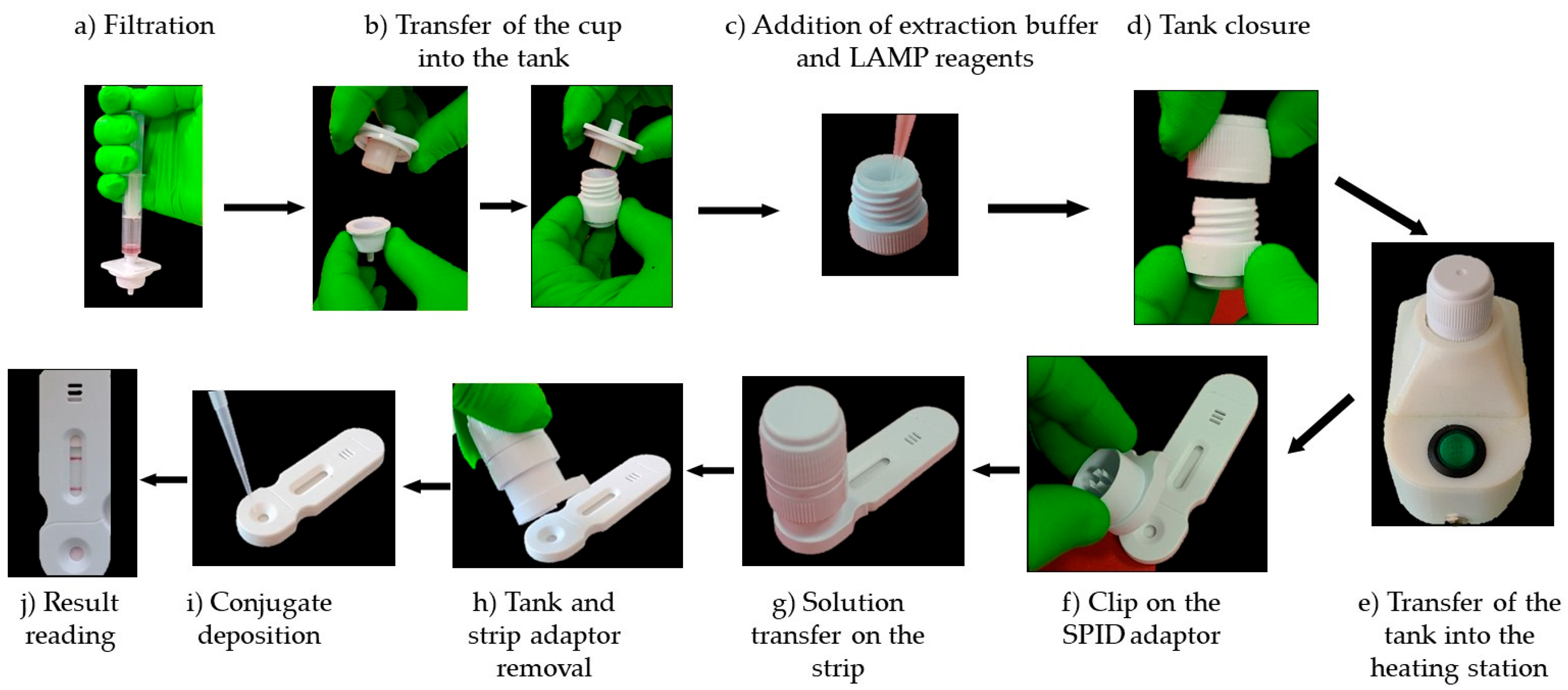 Biosensors 14 00609 g004 Biosensors 14 00609 g004