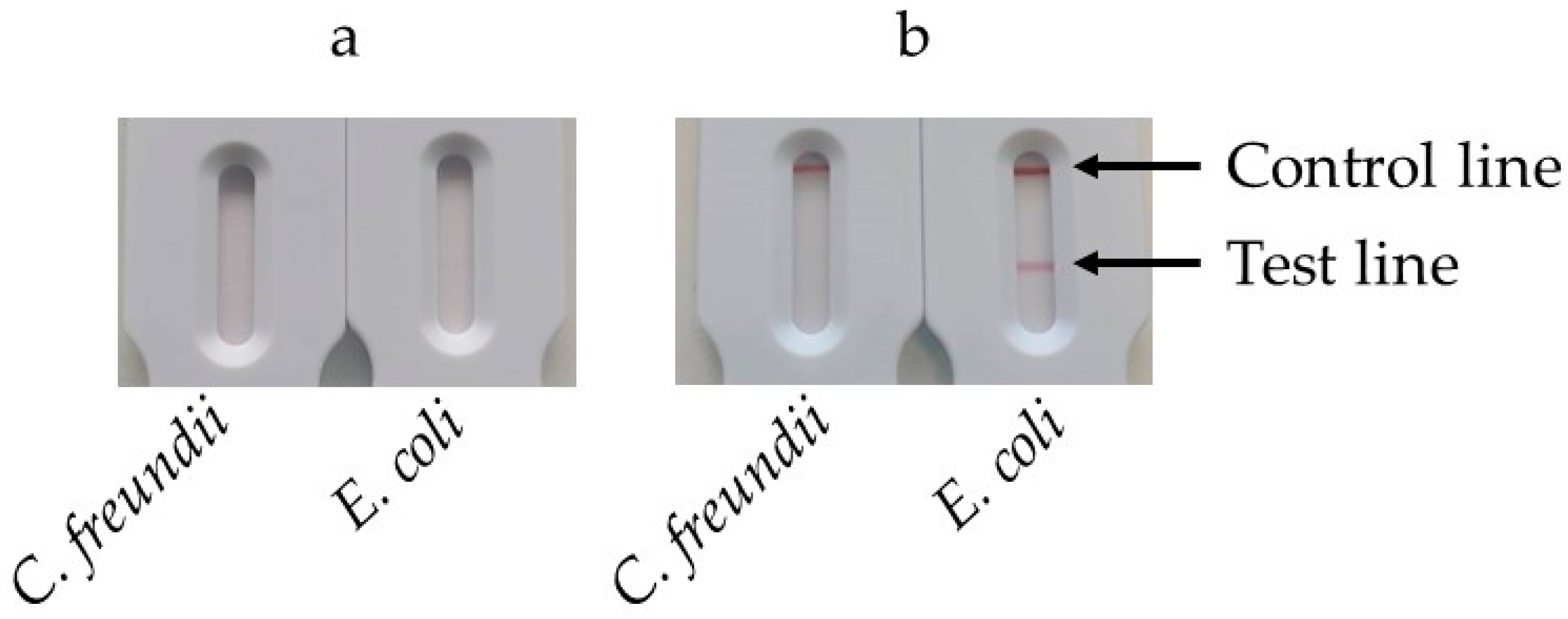 Biosensors 14 00609 g007 Biosensors 14 00609 g007