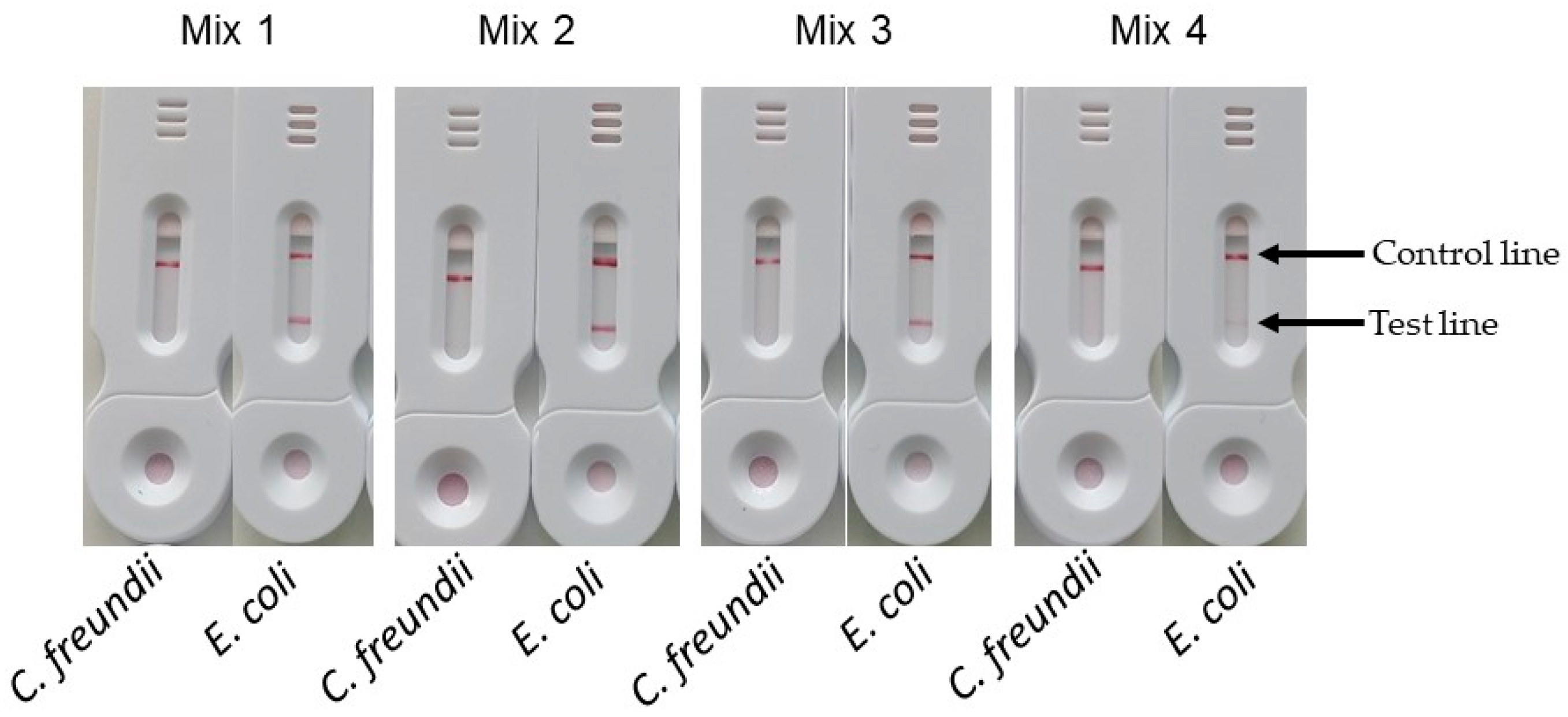 Biosensors 14 00609 g009 Biosensors 14 00609 g009