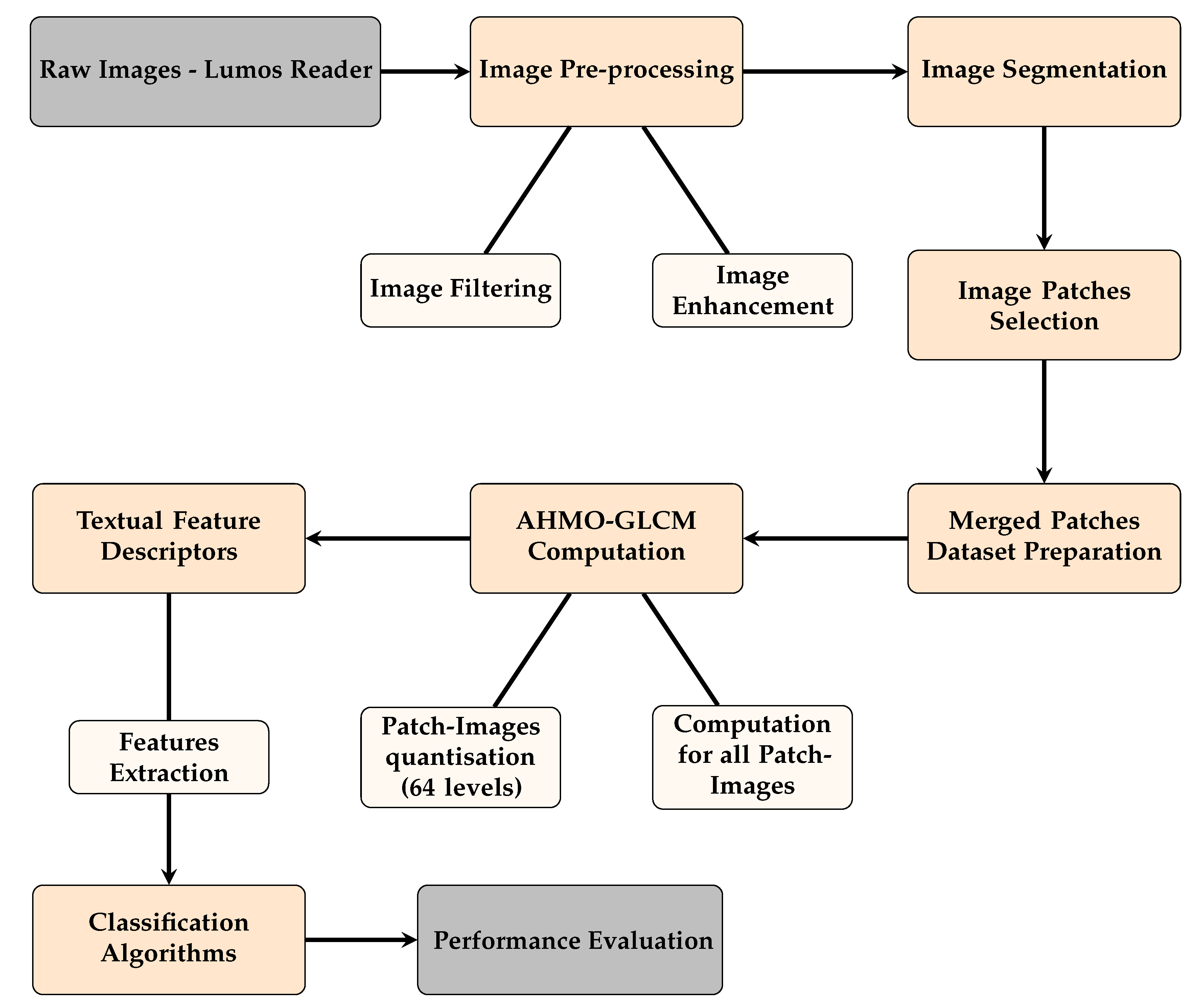 Biosensors 14 00611 g003