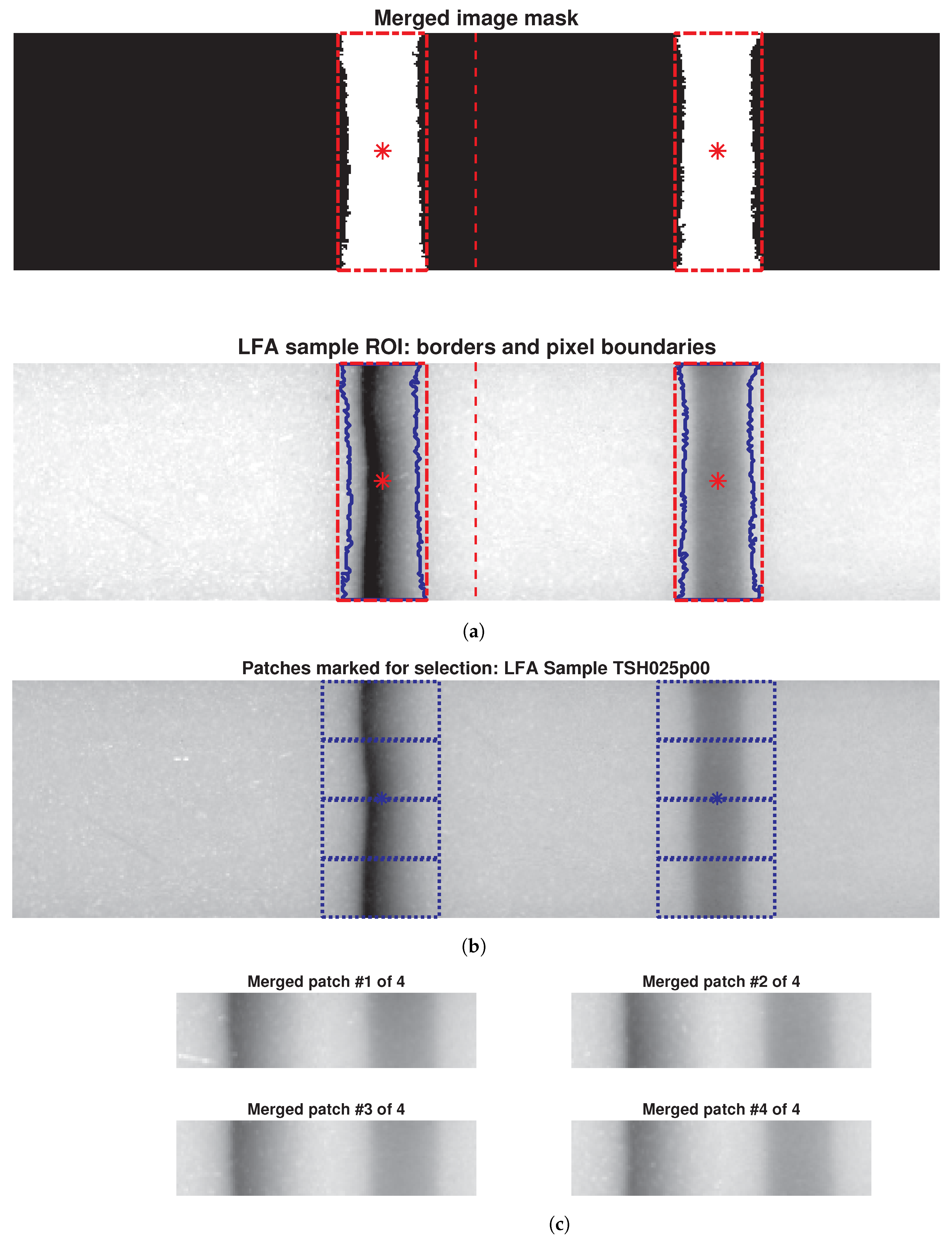 Biosensors 14 00611 g004