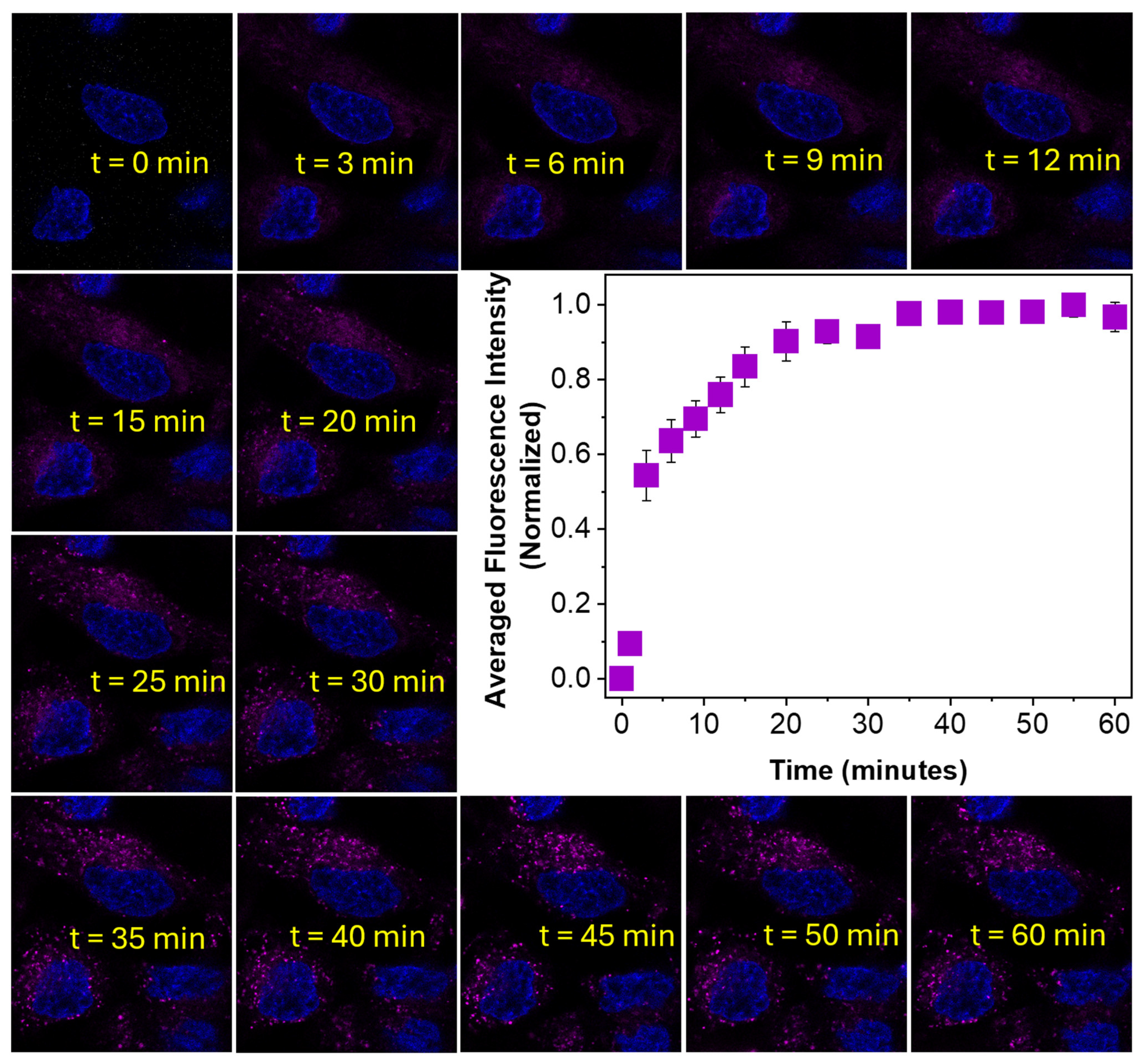 Biosensors 14 00612 g007