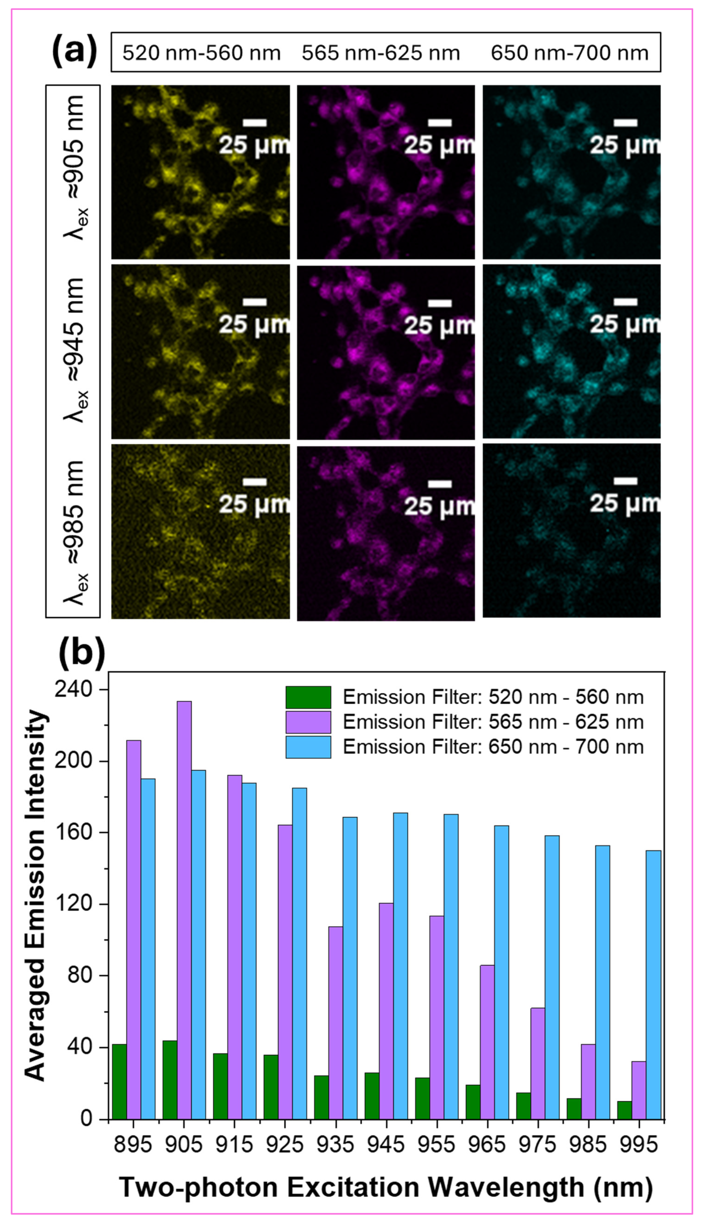 Biosensors 14 00612 g010