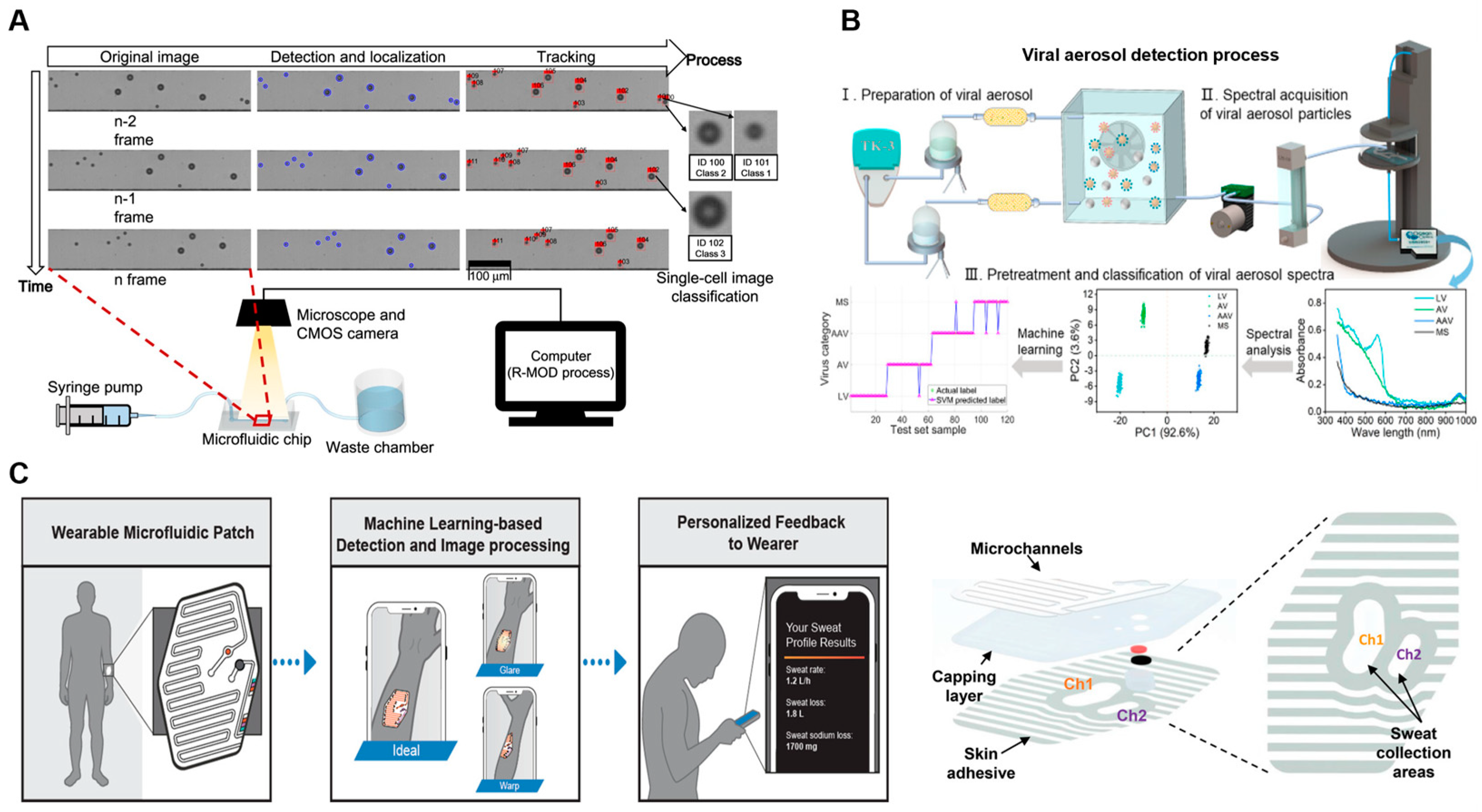 Biosensors 14 00613 g004