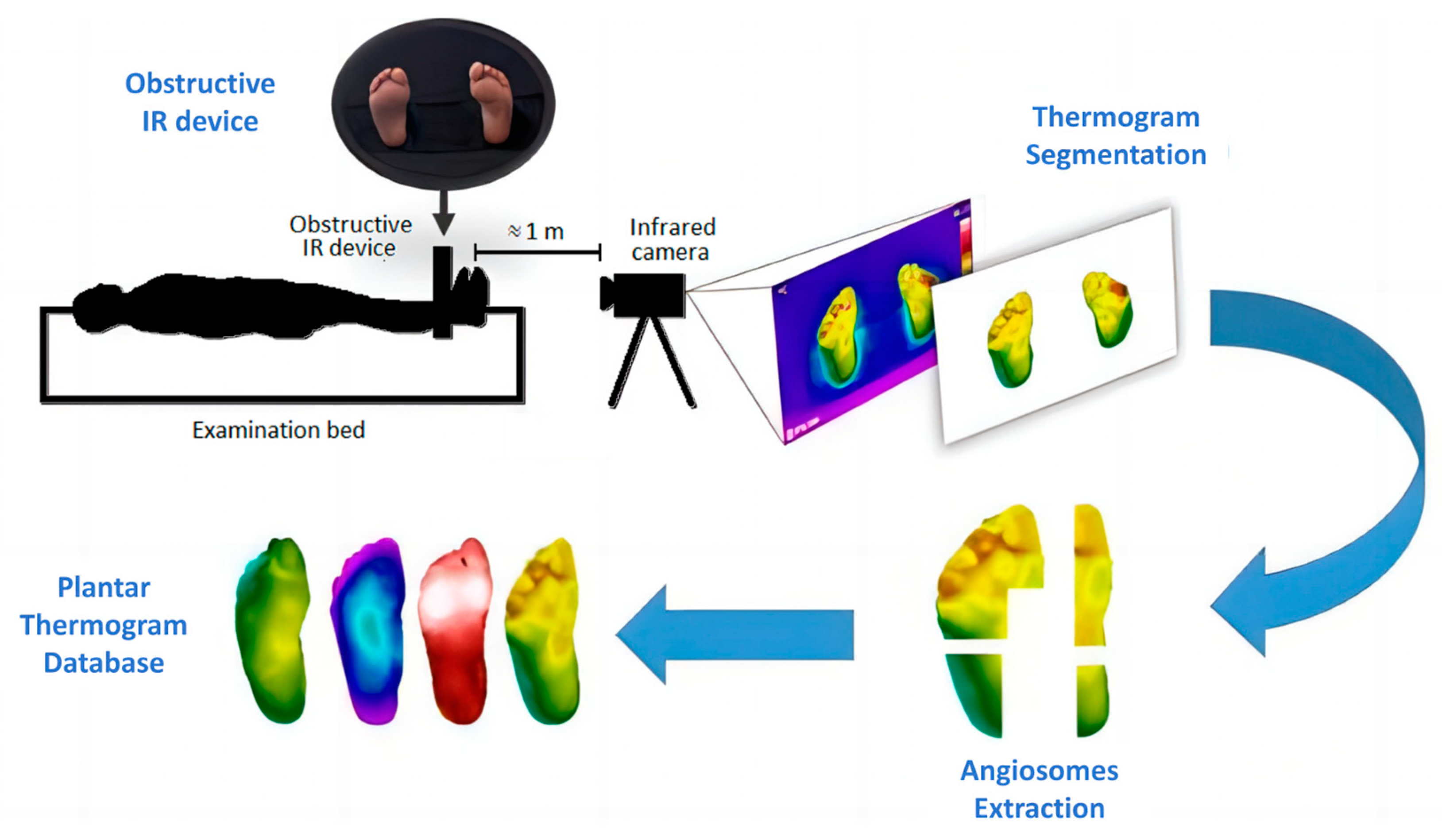 Biosensors 14 00614 g003