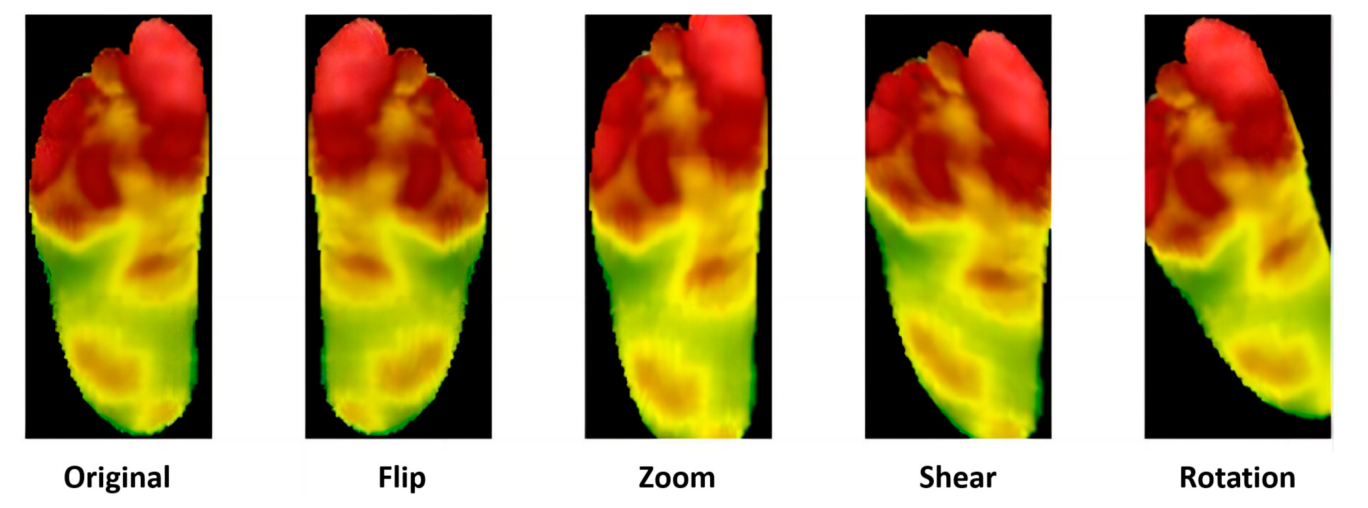 Biosensors 14 00614 g004