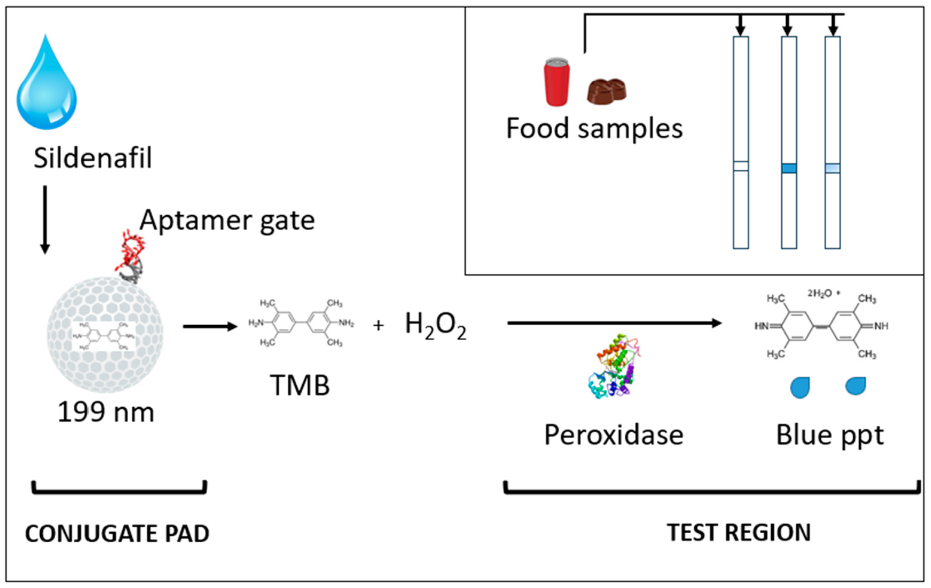 Biosensors 14 00620 g001