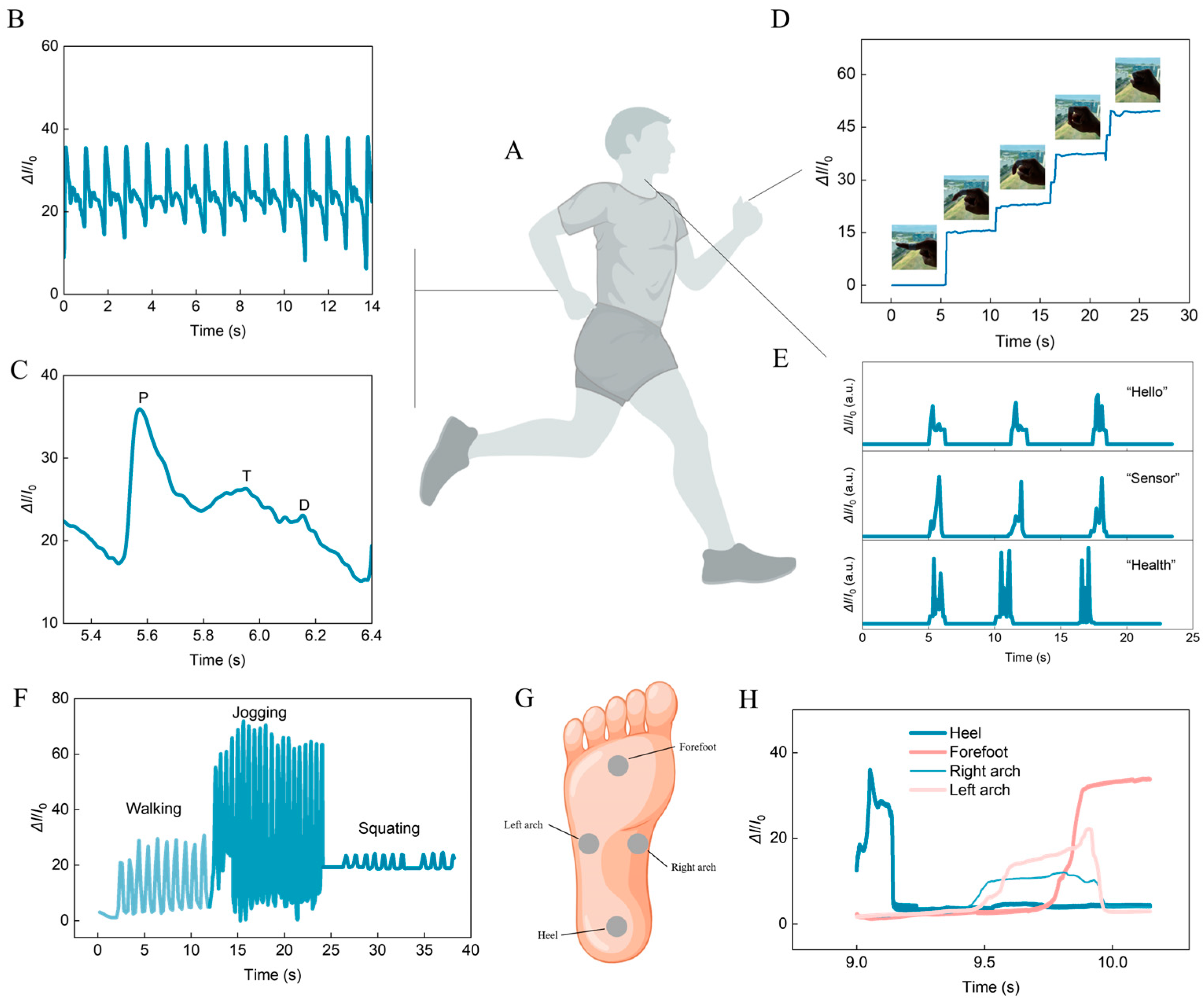 Biosensors 14 00622 g003