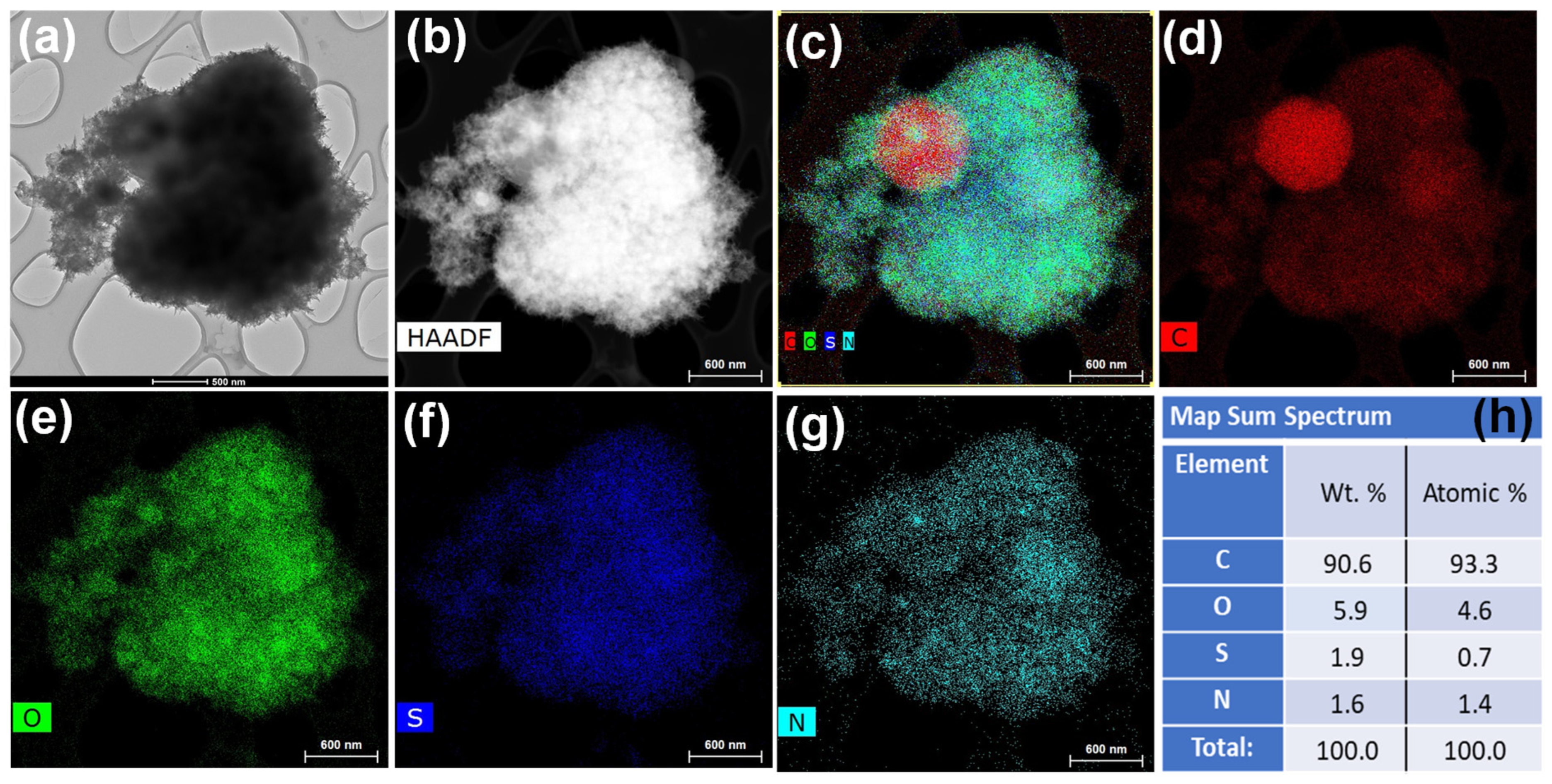 Biosensors 14 00623 g004