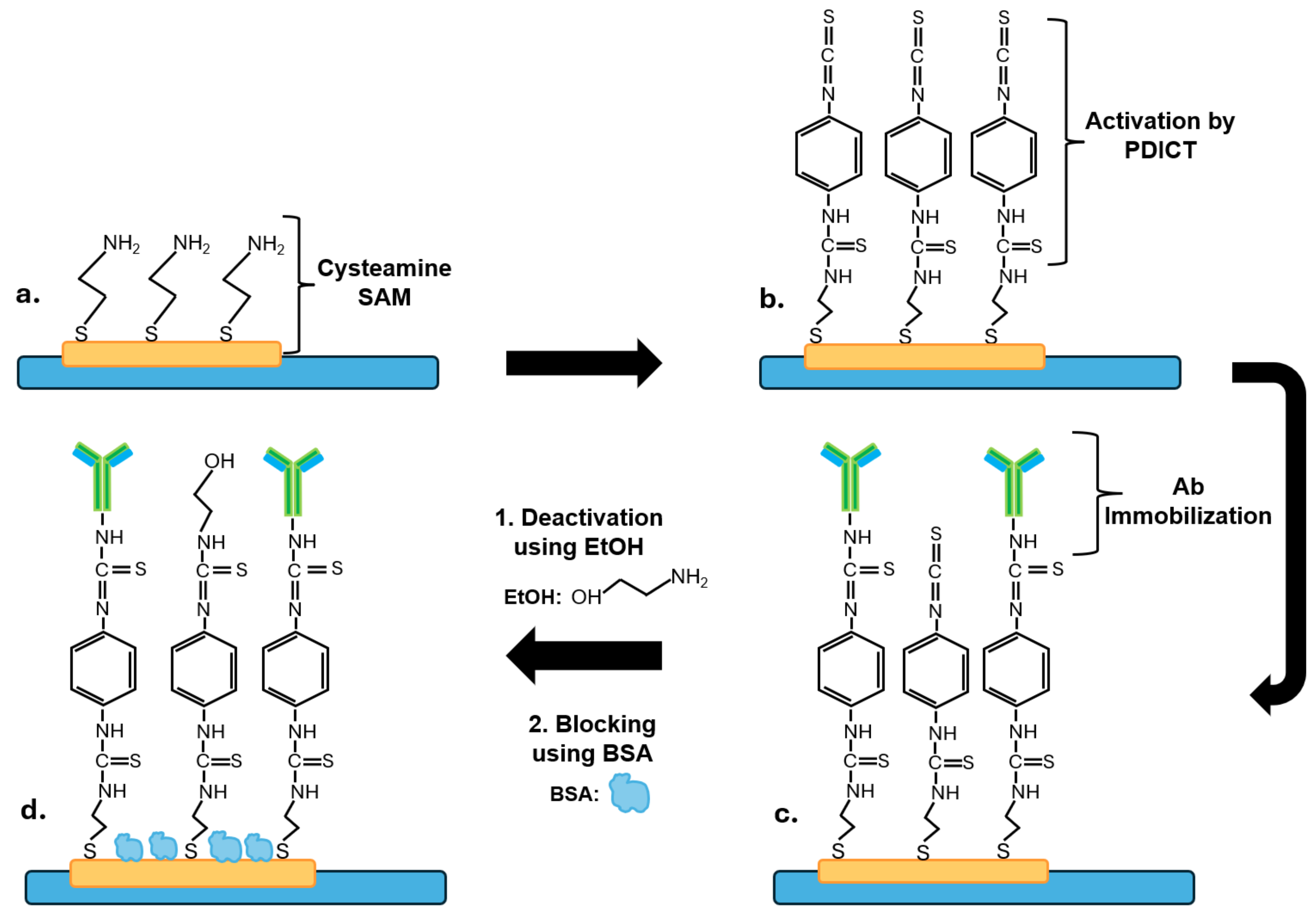 Biosensors 14 00624 g001