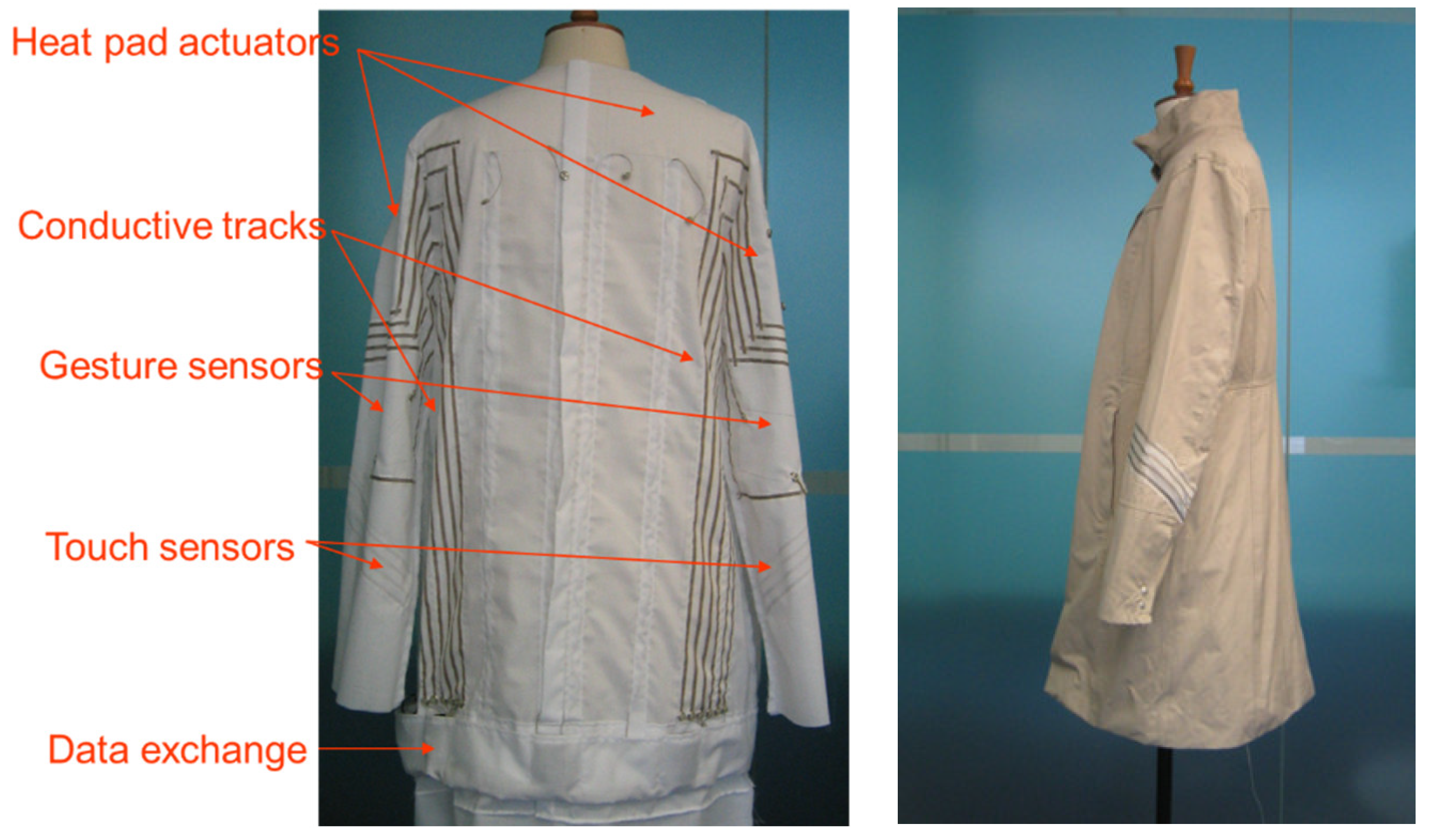 Biosensors 14 00628 g002