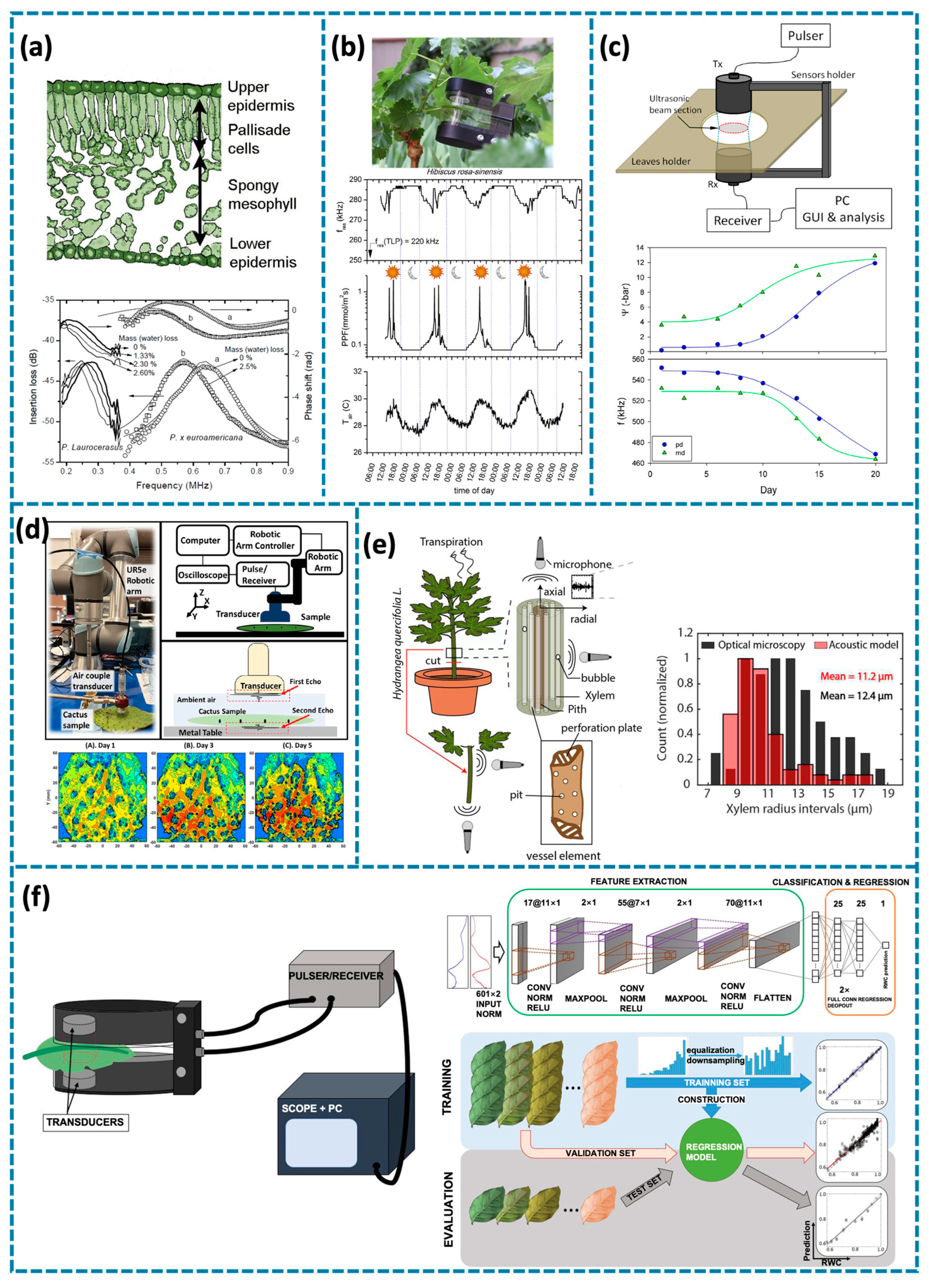 Biosensors 14 00629 g002