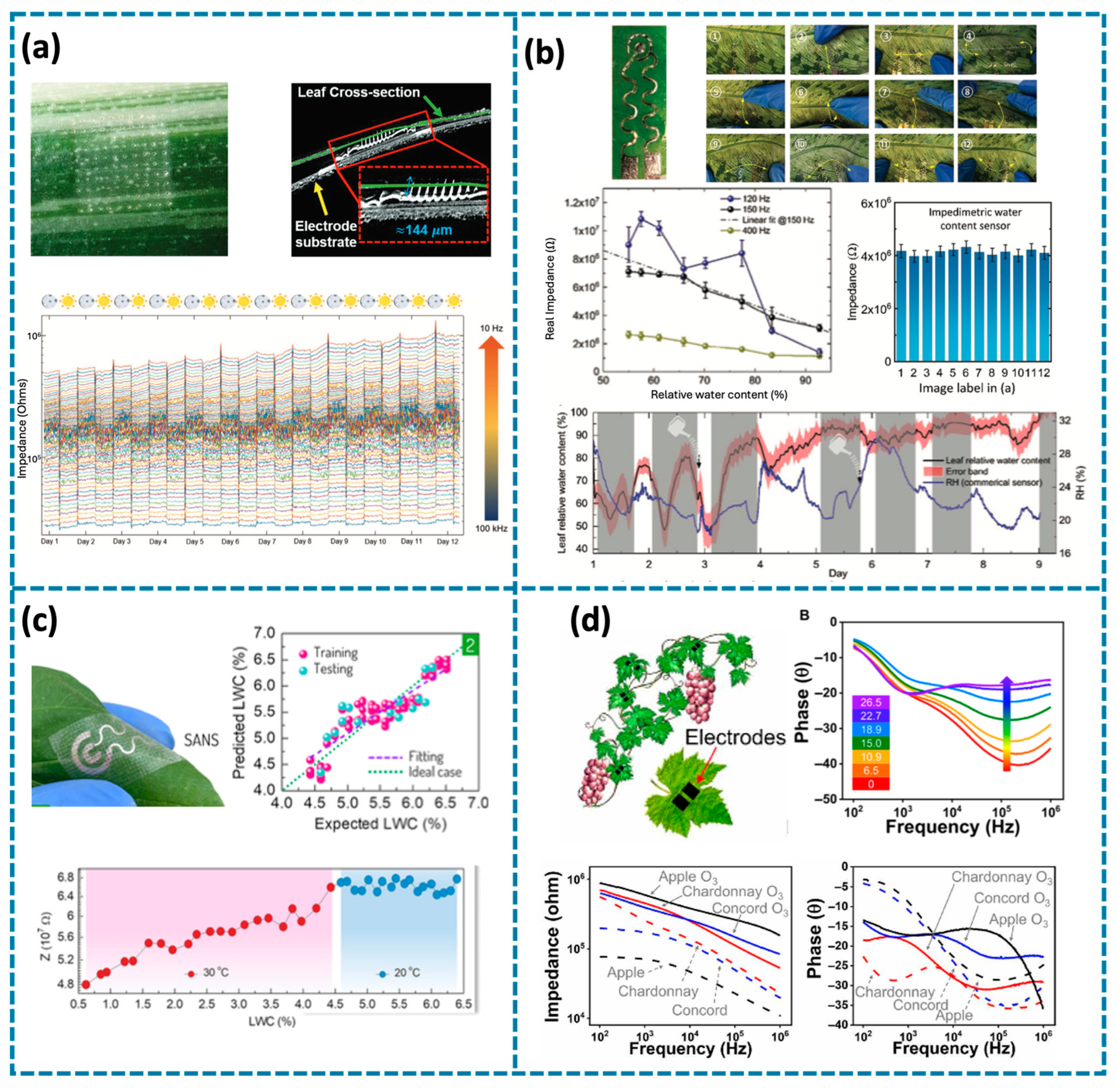 Biosensors 14 00629 g005