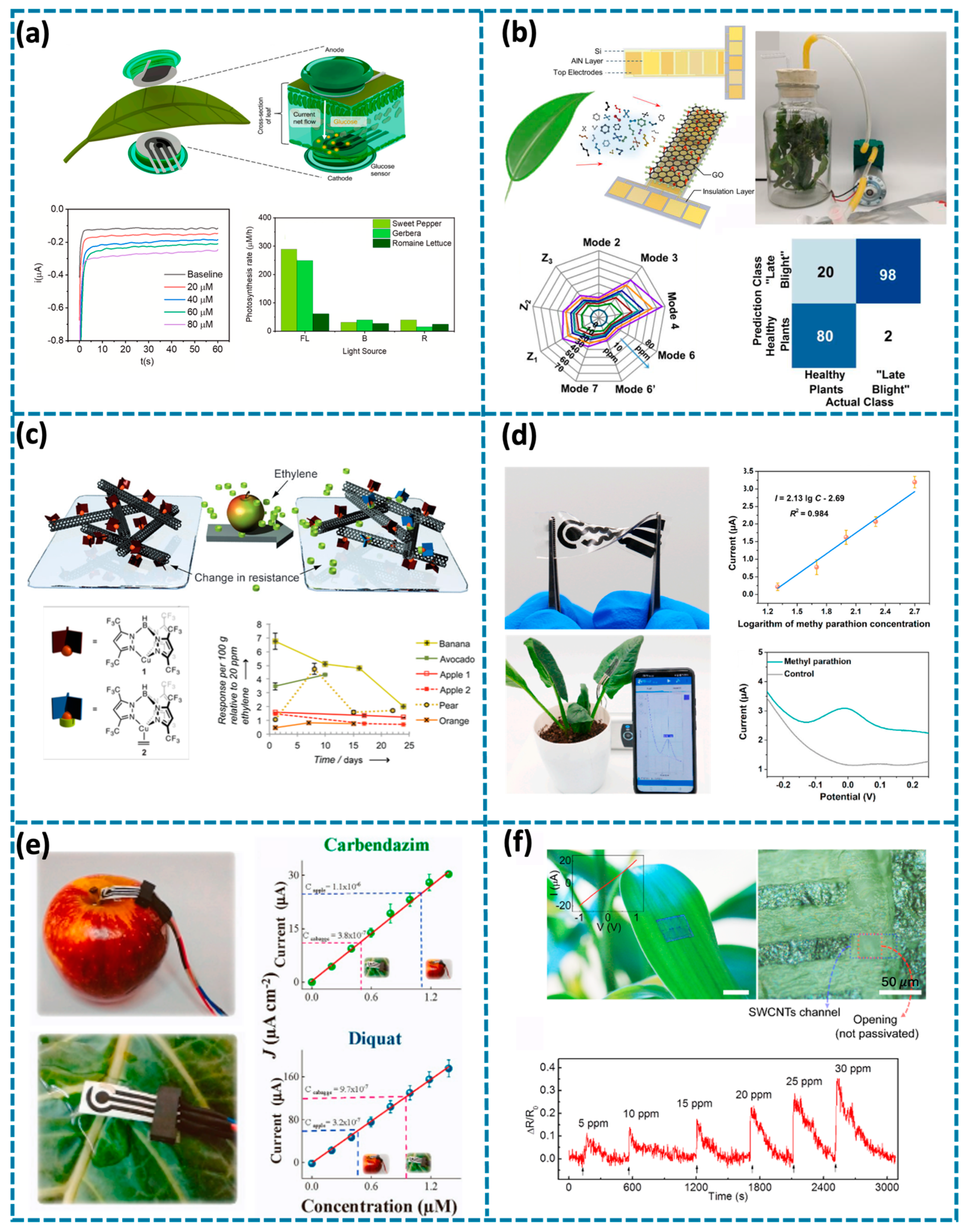 Biosensors 14 00629 g006