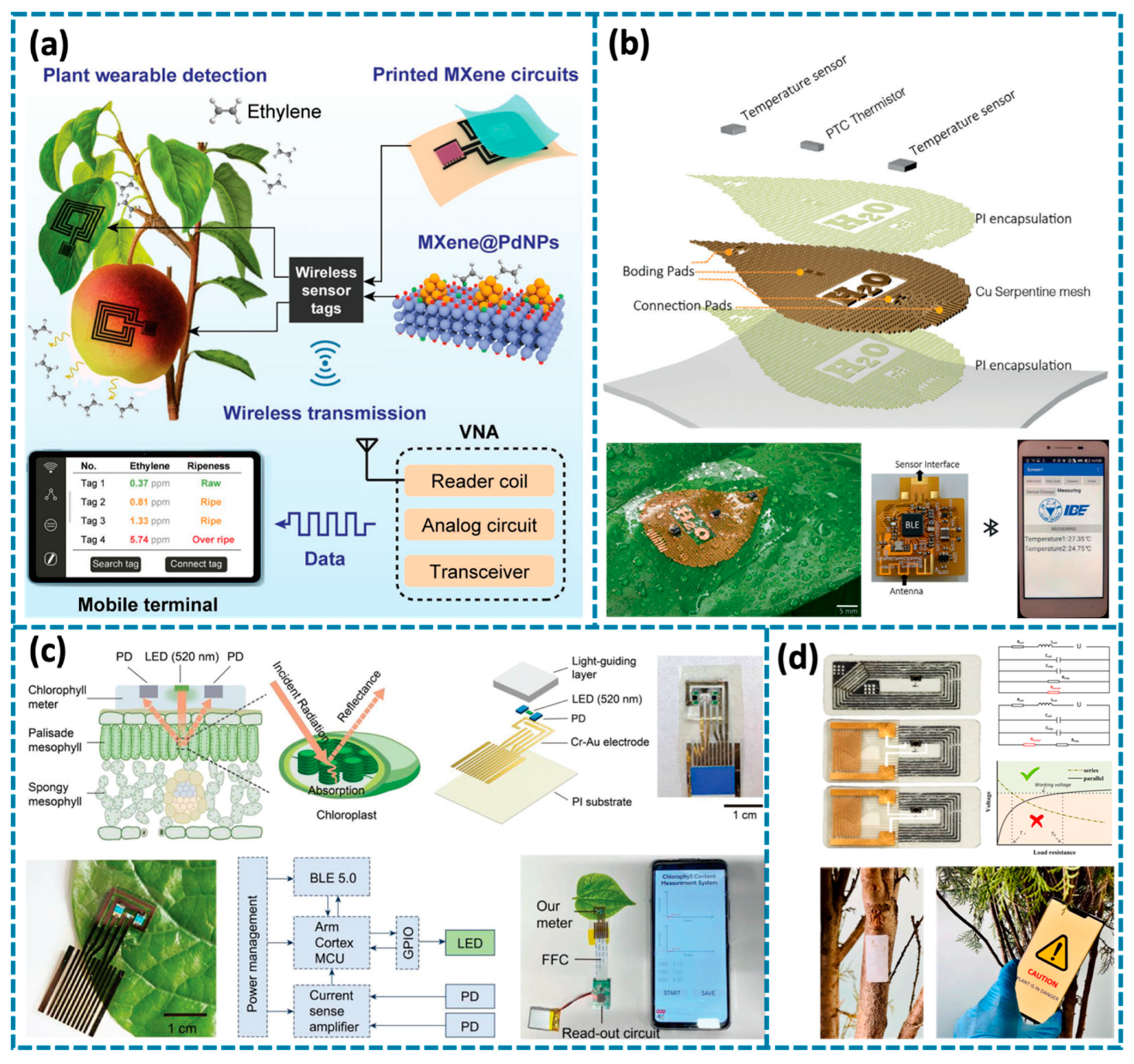 Biosensors 14 00629 g008