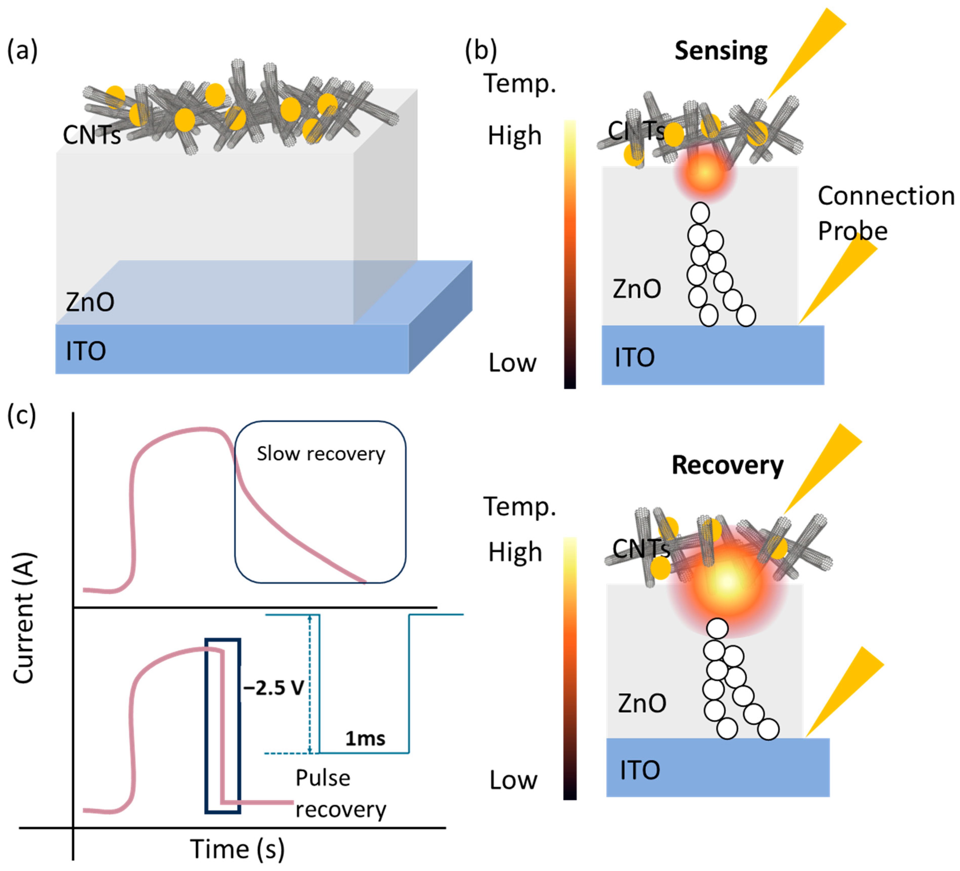 Biosensors 14 00635 g001