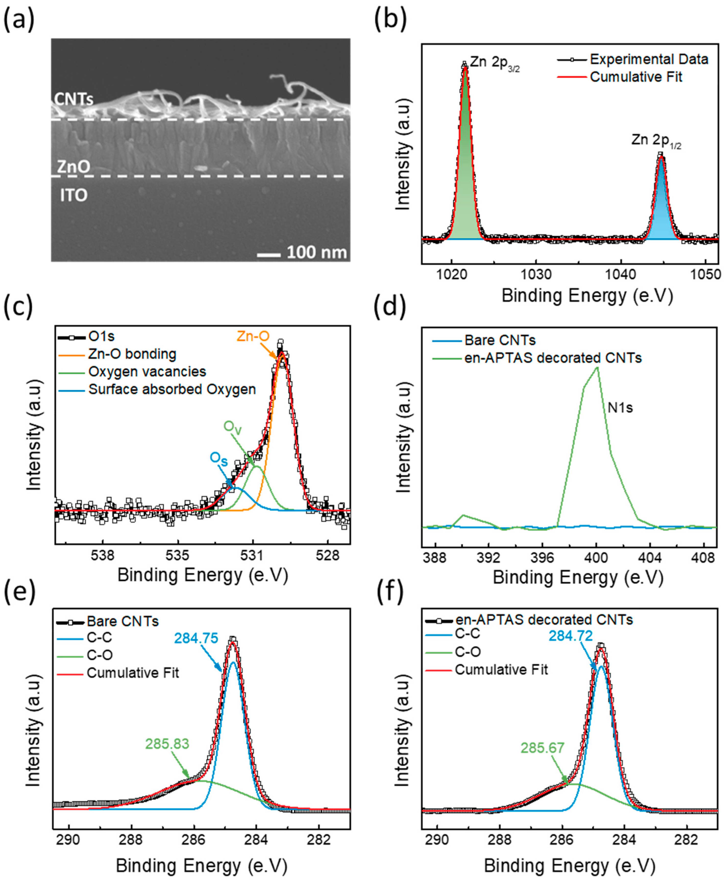 Biosensors 14 00635 g003
