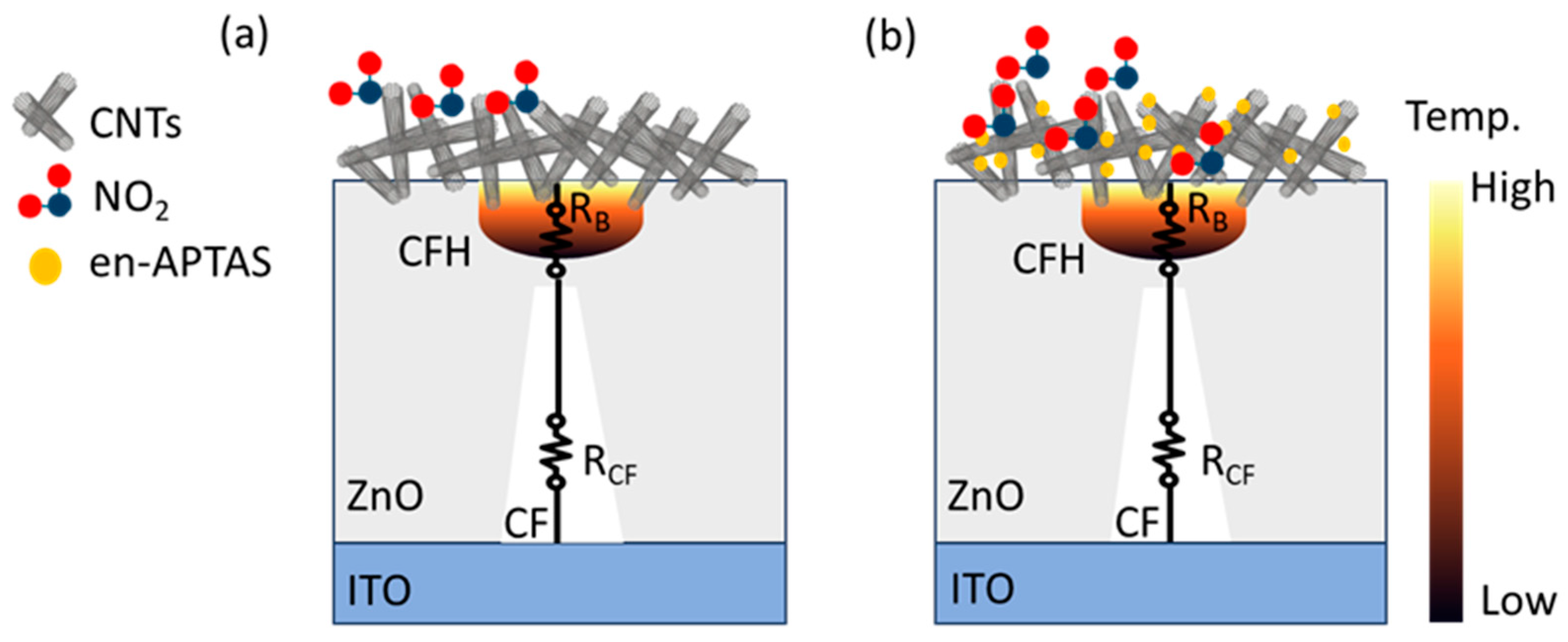 Biosensors 14 00635 g007