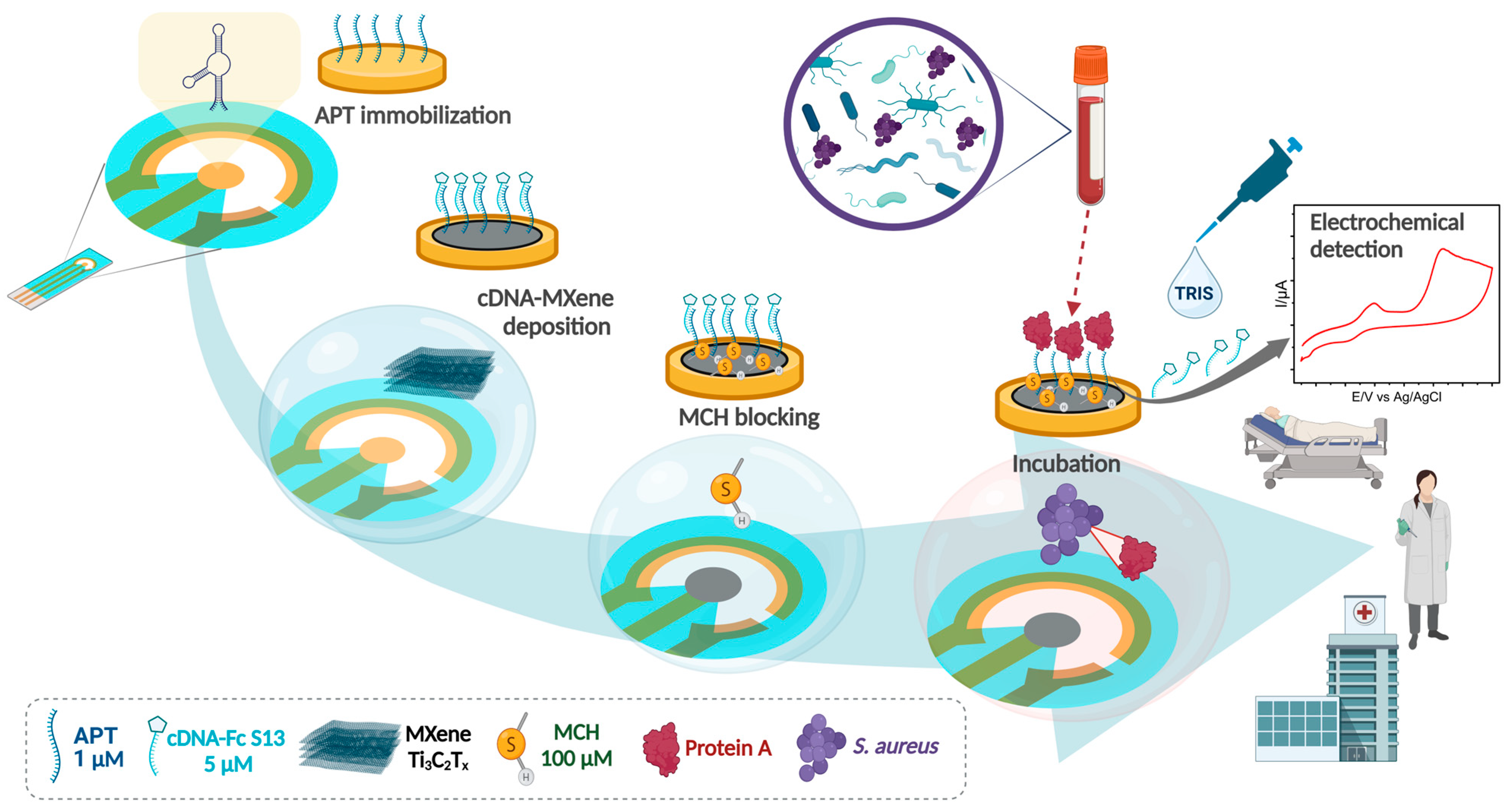 Biosensors 14 00636 g001