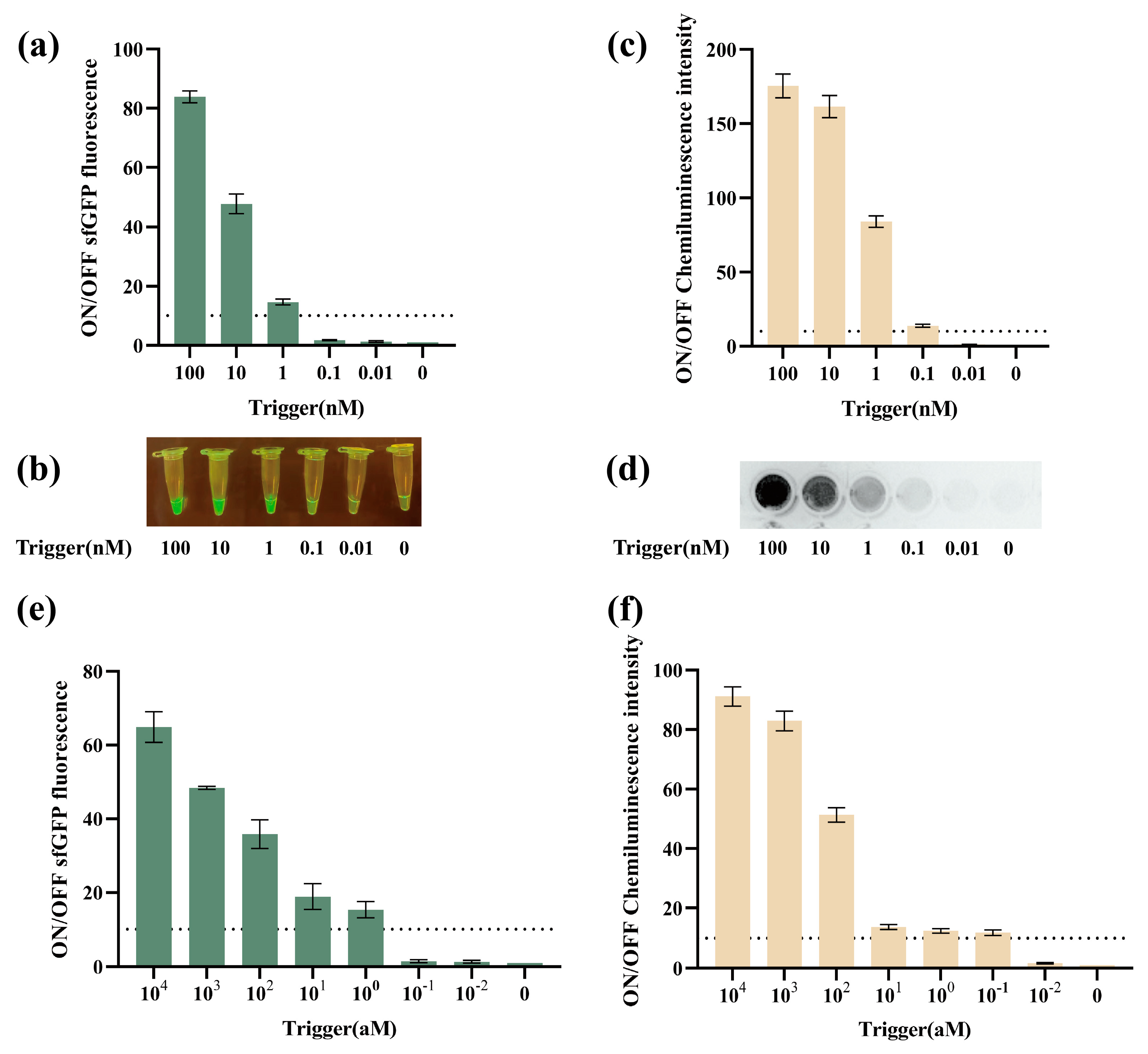 Biosensors 14 00637 g004