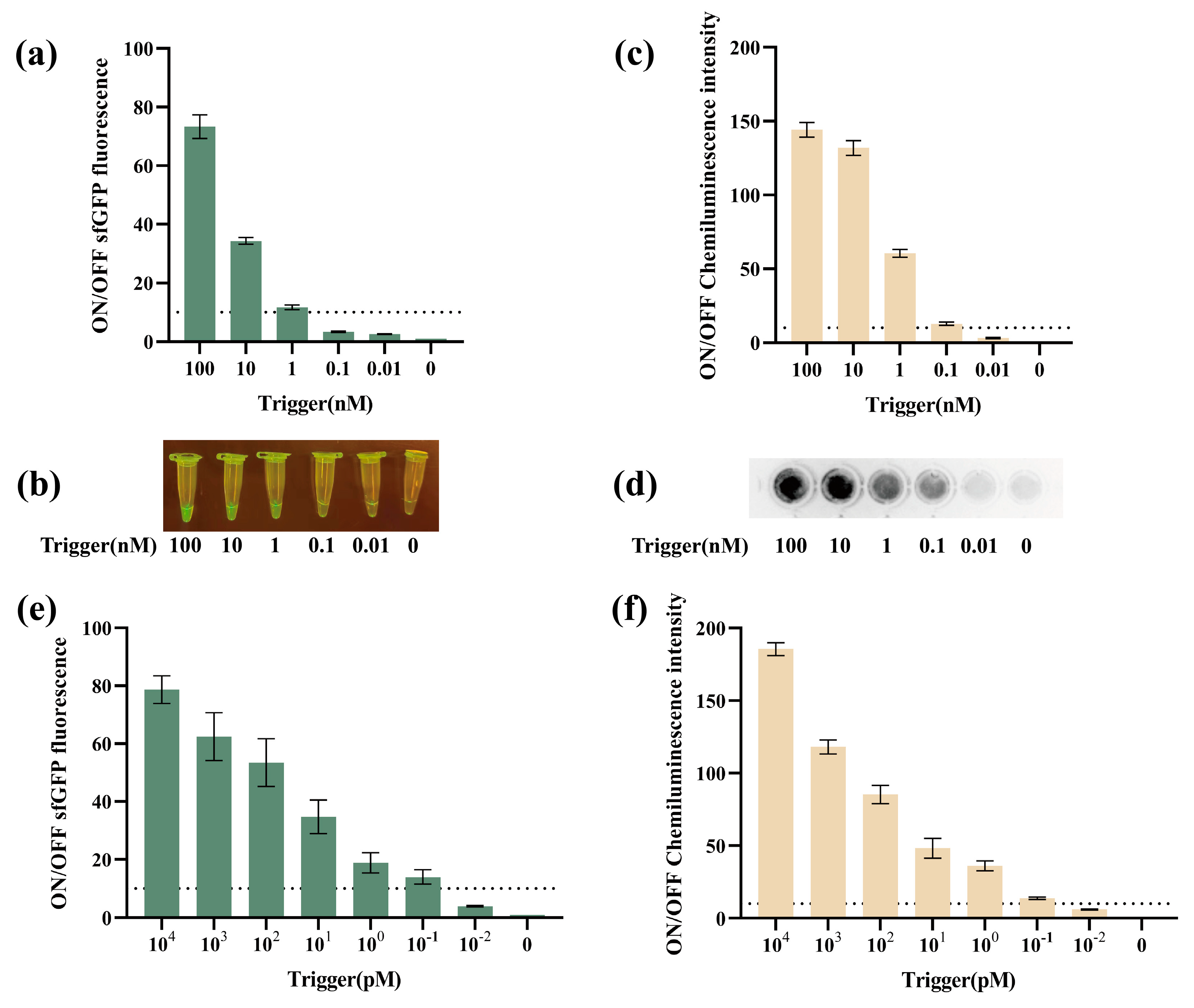 Biosensors 14 00637 g005