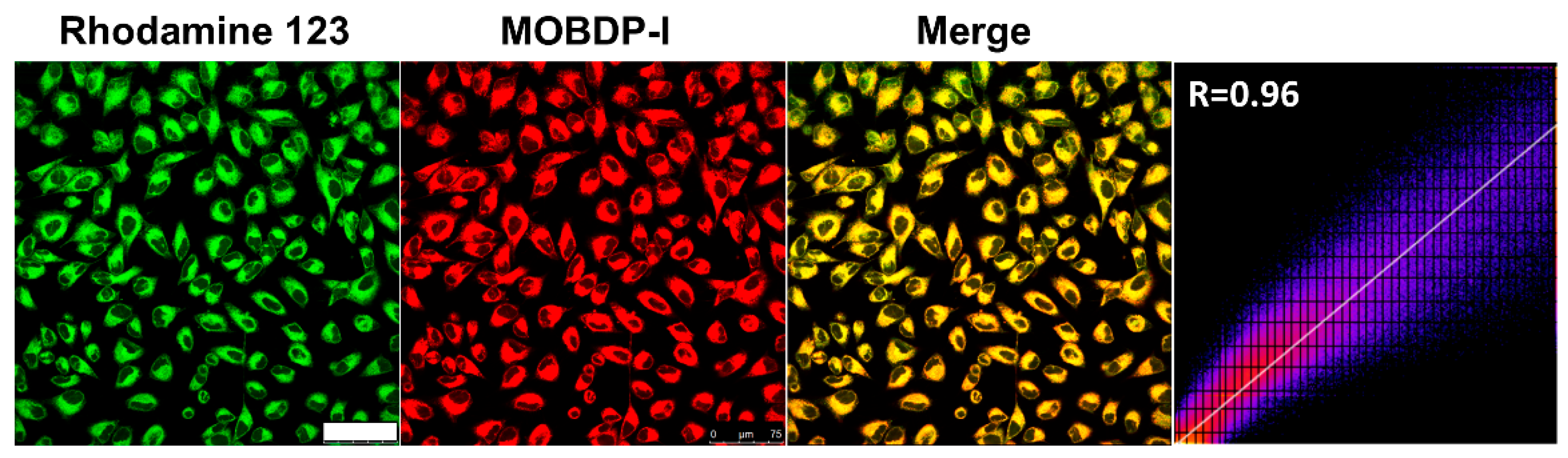 Biosensors 14 00638 g003