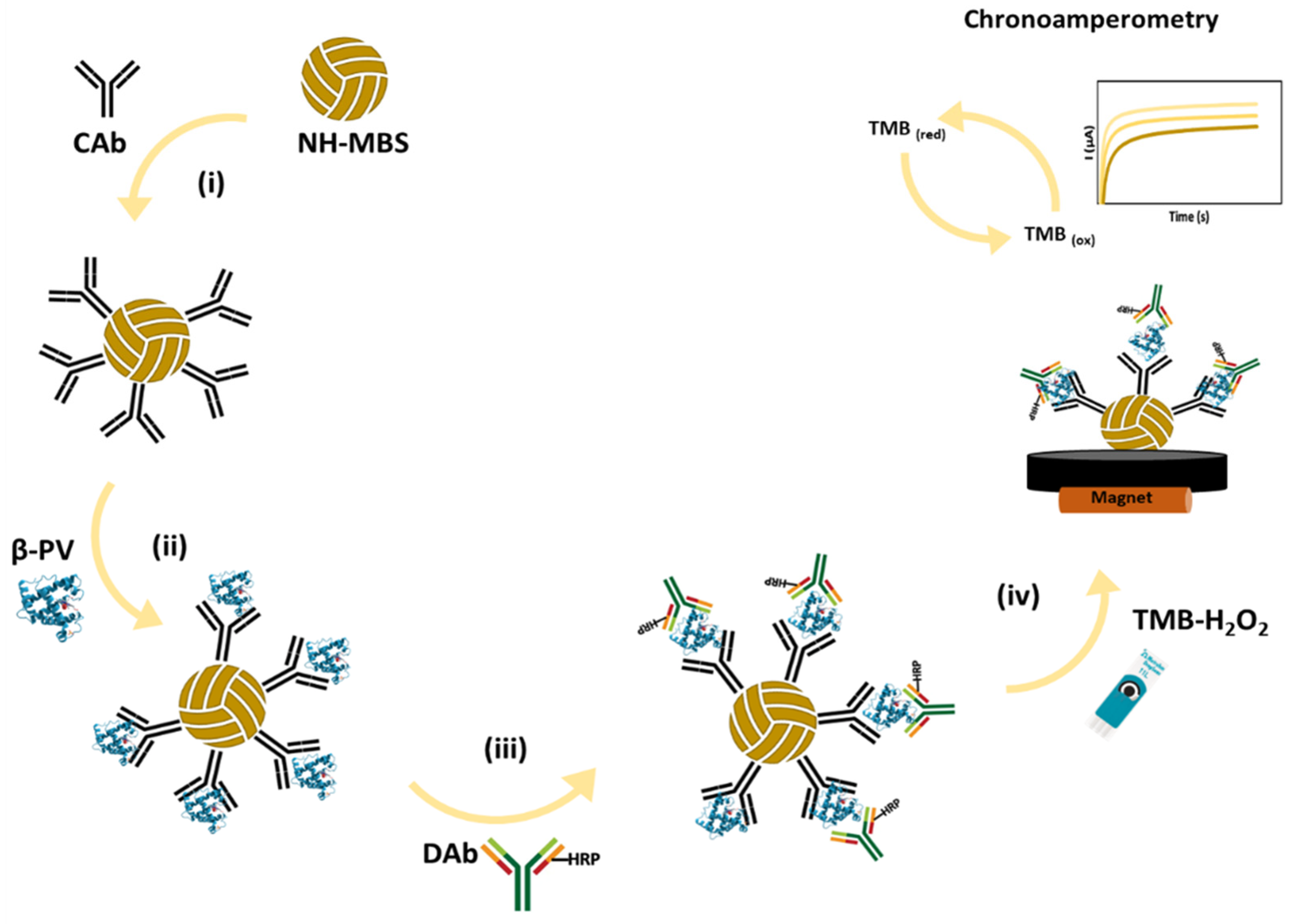 Biosensors 14 00639 g001