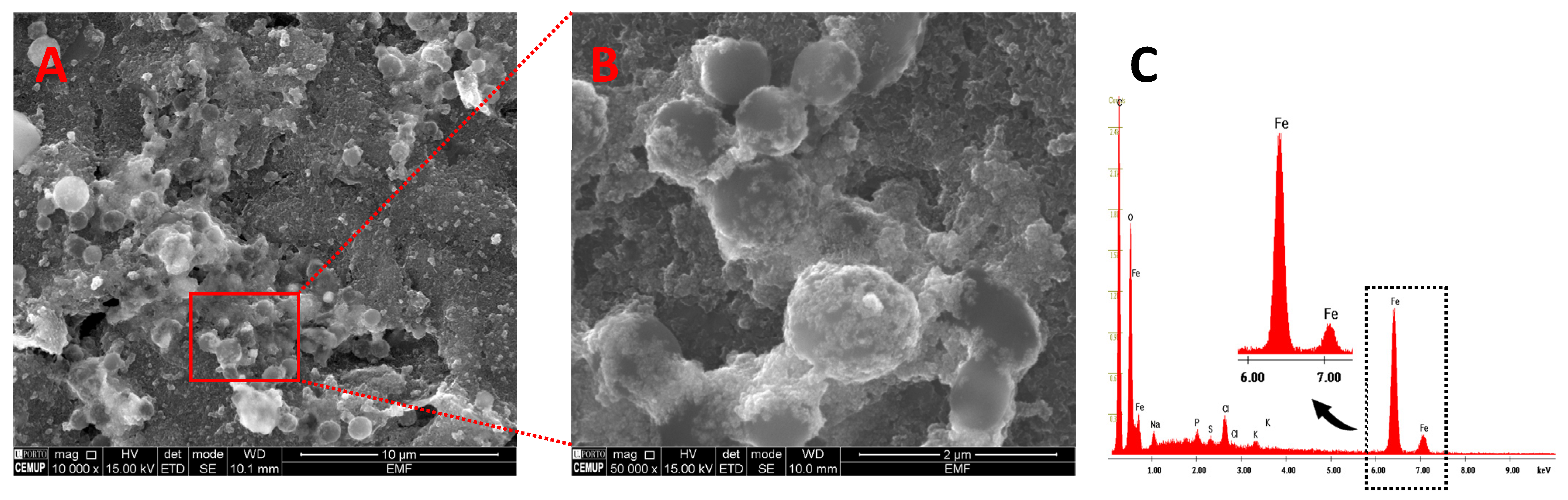 Biosensors 14 00639 g003