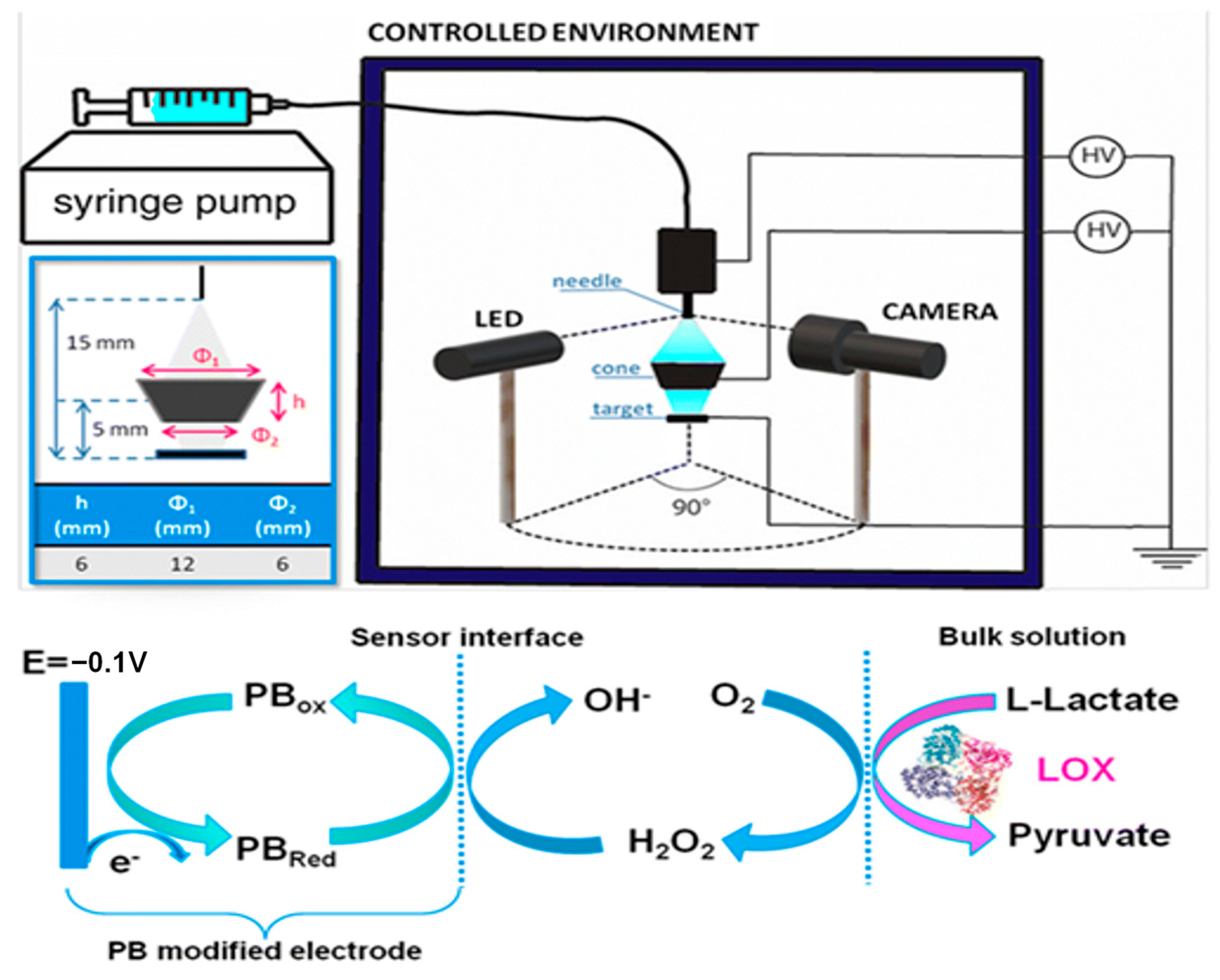 Biosensors 15 00003 g003