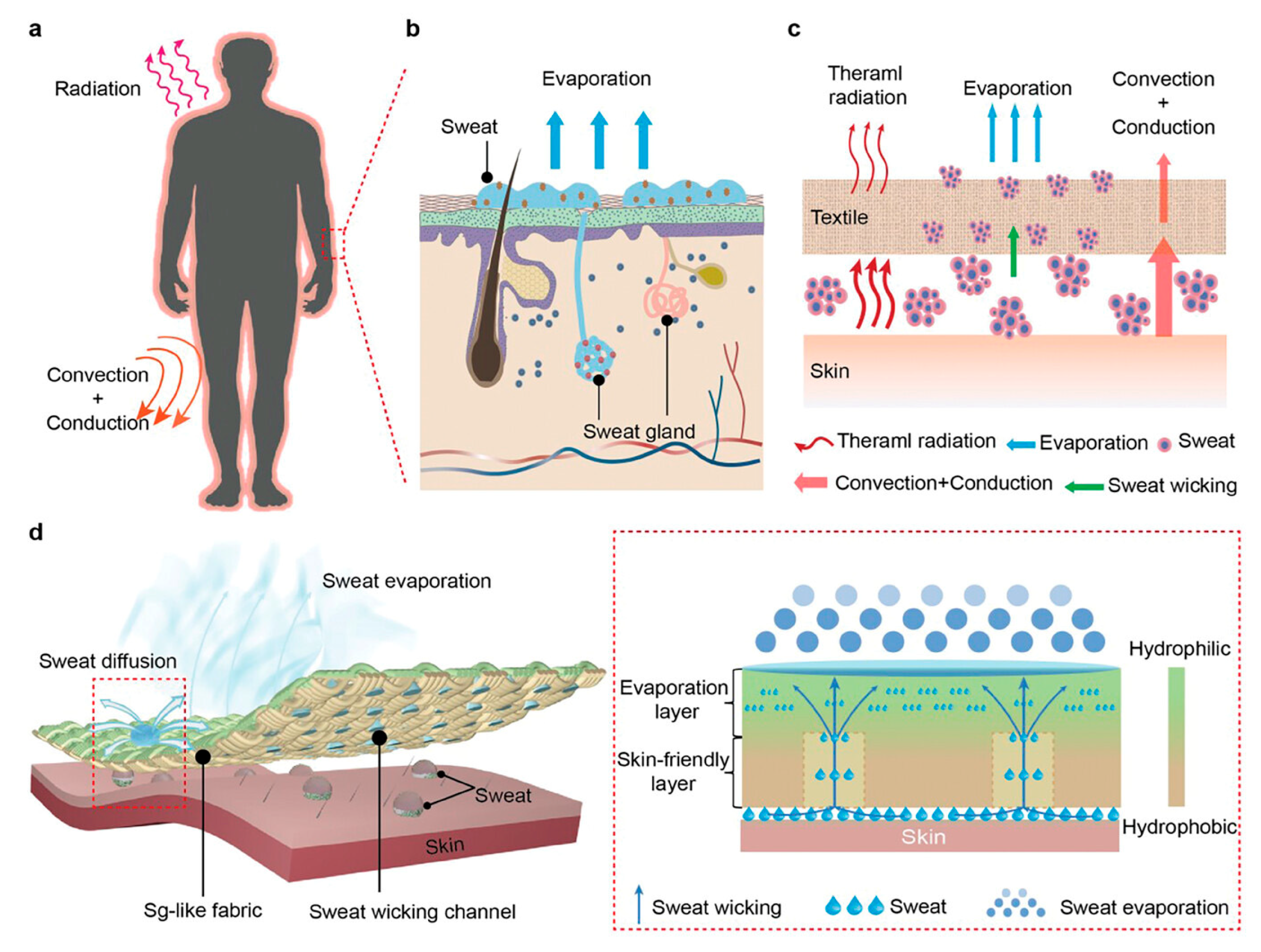 Biosensors 15 00003 g006