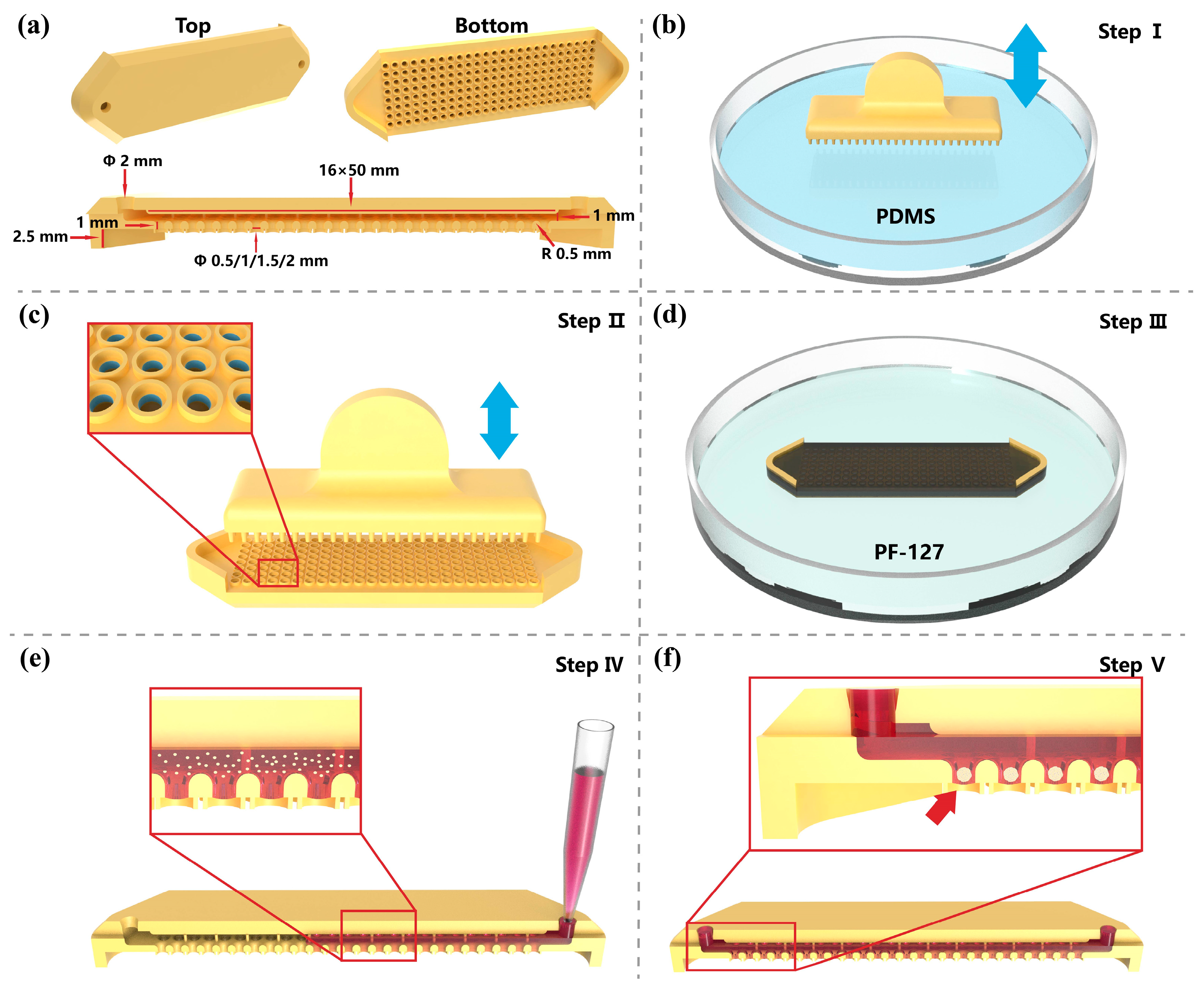 Biosensors 15 00007 g001