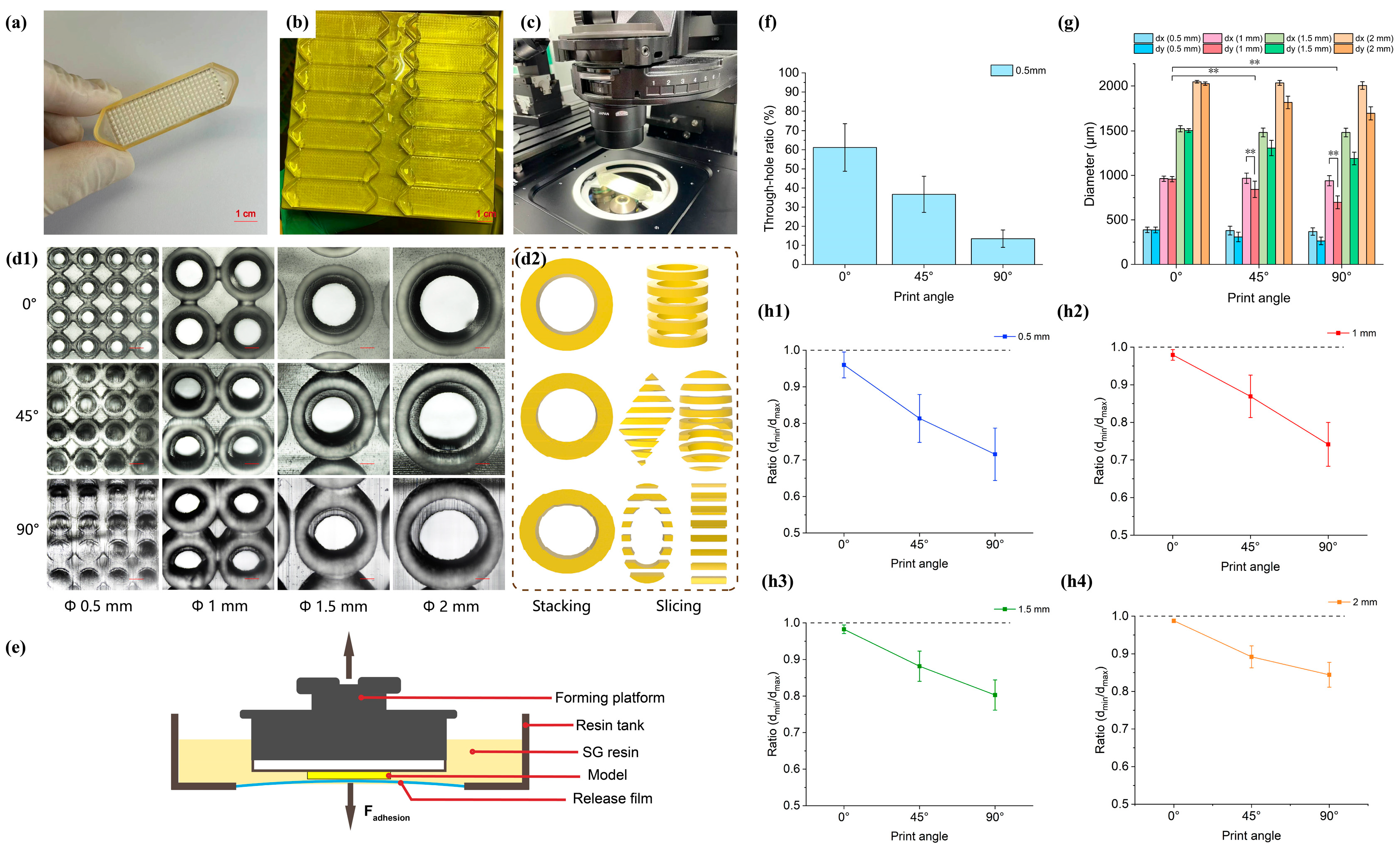 Biosensors 15 00007 g002