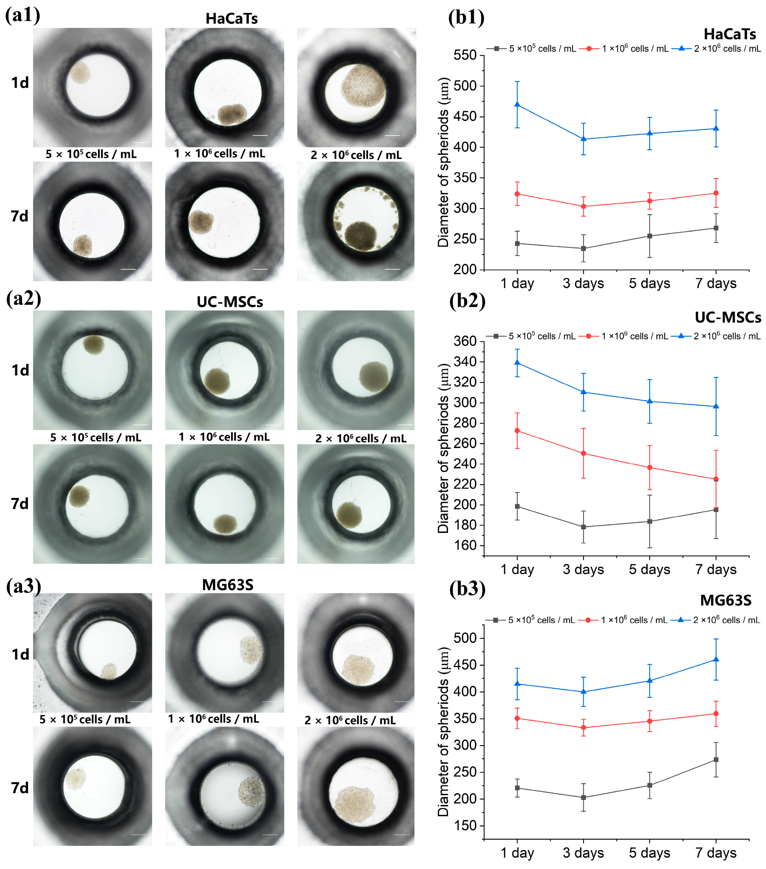 Biosensors 15 00007 g006